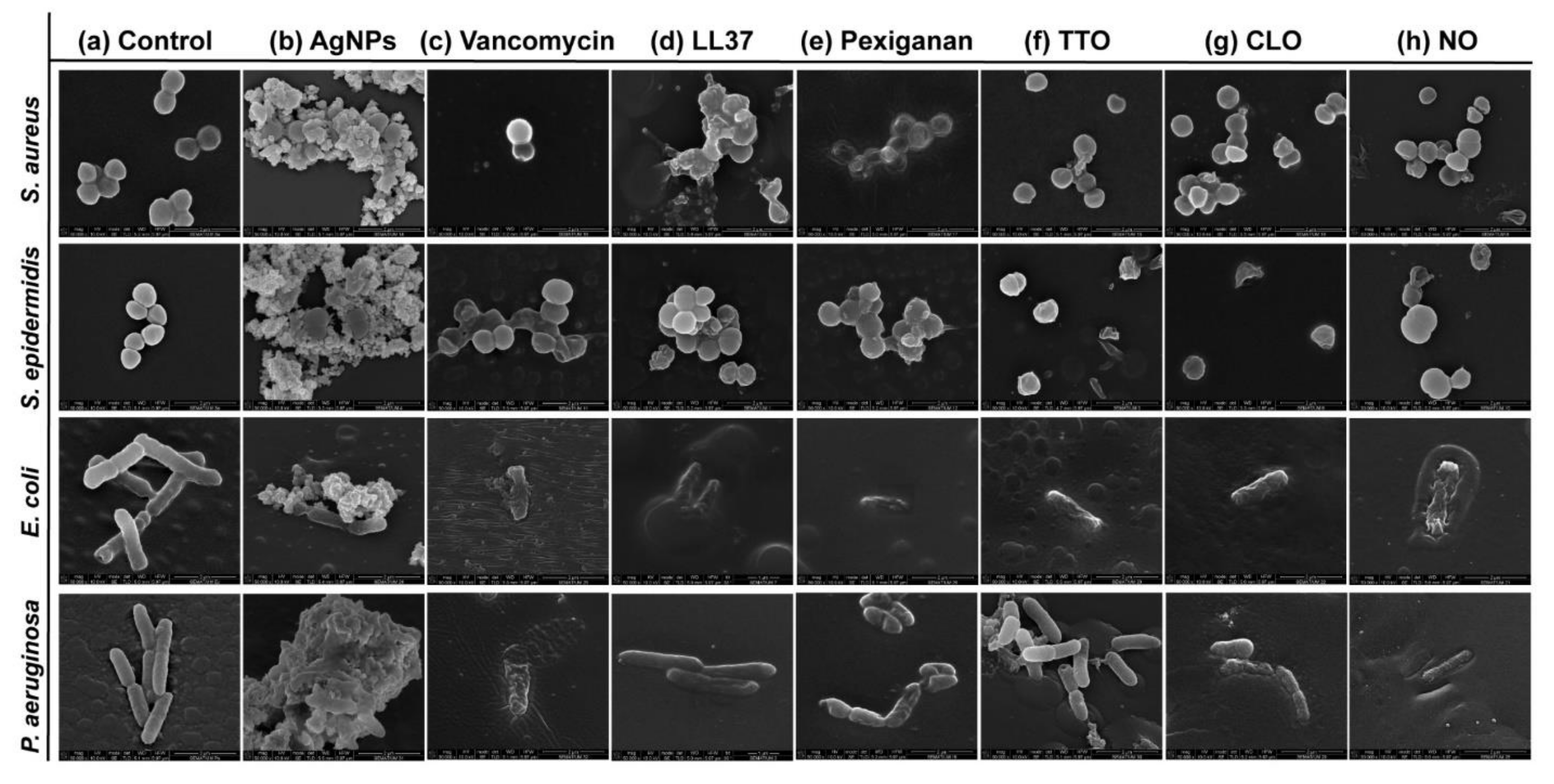 Antibiotics 09 00314 g003 Antibiotics 09 00314 g003