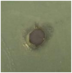 Antibiotics 09 00314 i004