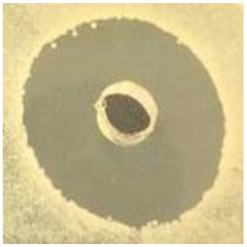 Antibiotics 09 00314 i006