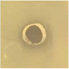 Antibiotics 09 00314 i007