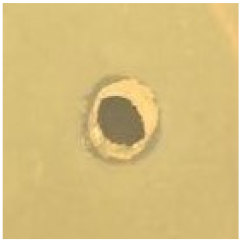 Antibiotics 09 00314 i008