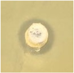 Antibiotics 09 00314 i027