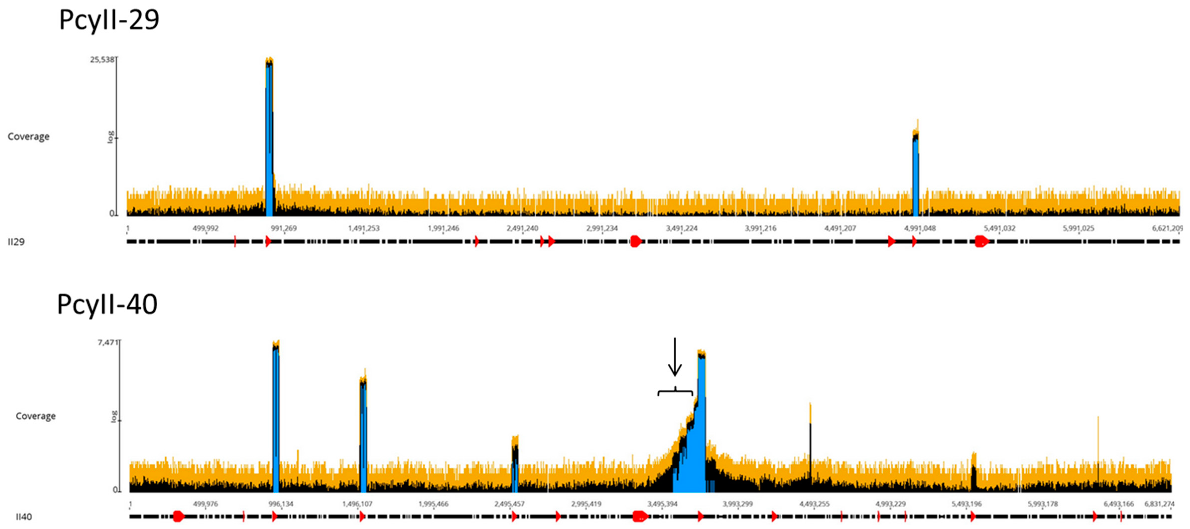 Antibiotics 09 00339 g004