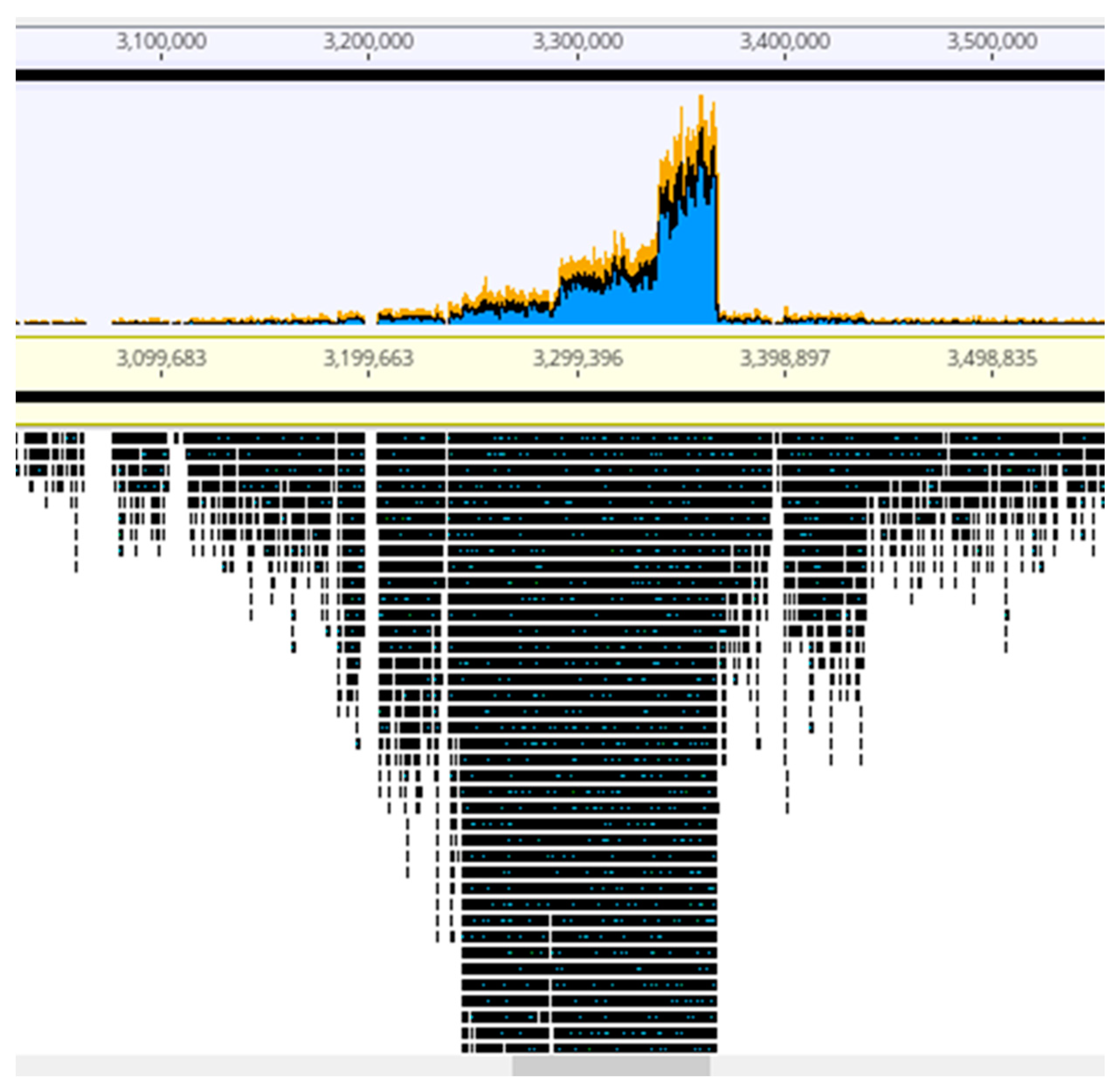 Antibiotics 09 00339 g005