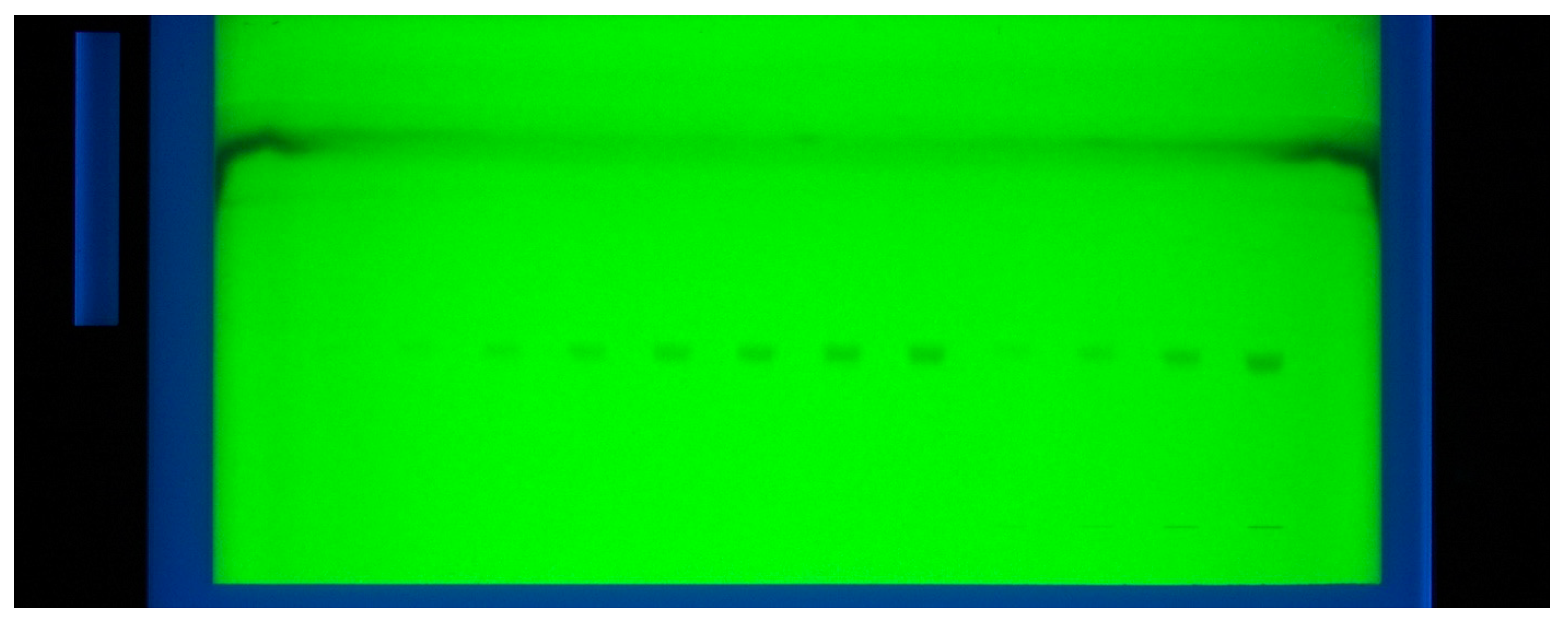 Antibiotics 09 00359 g001
