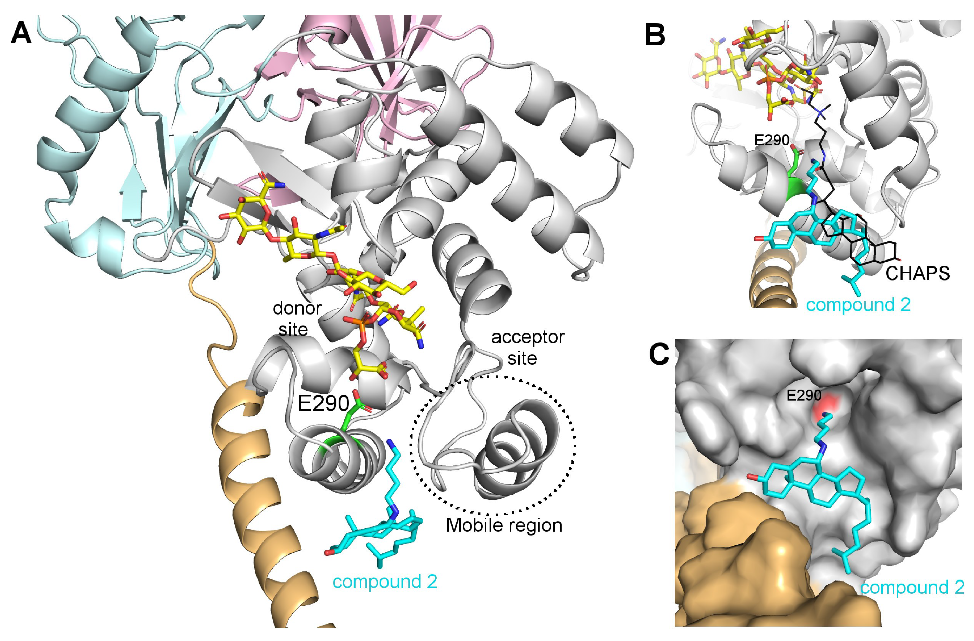 Antibiotics 09 00373 g004