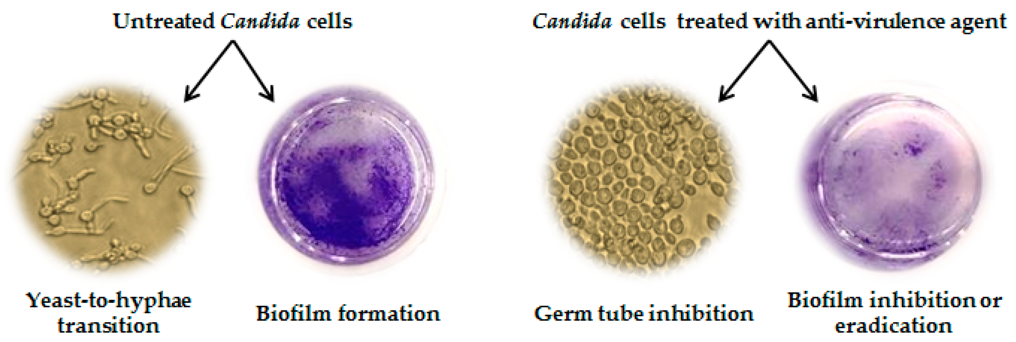Antibiotics 09 00395 g003 Antibiotics 09 00395 g003