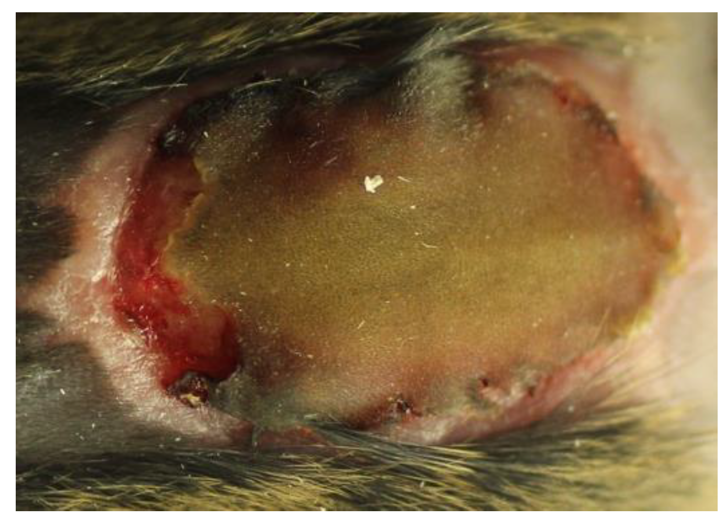 Antibiotics 09 00396 g001 Antibiotics 09 00396 g001