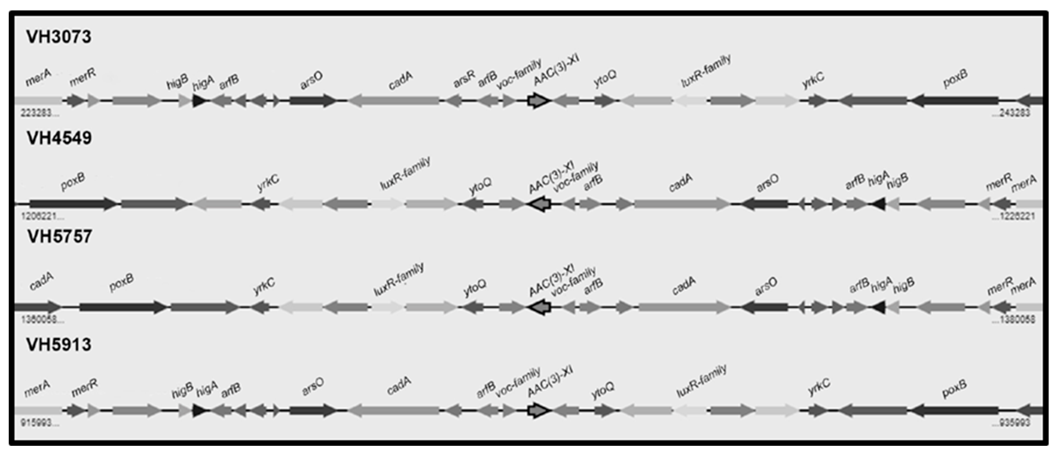 Antibiotics 09 00404 g003