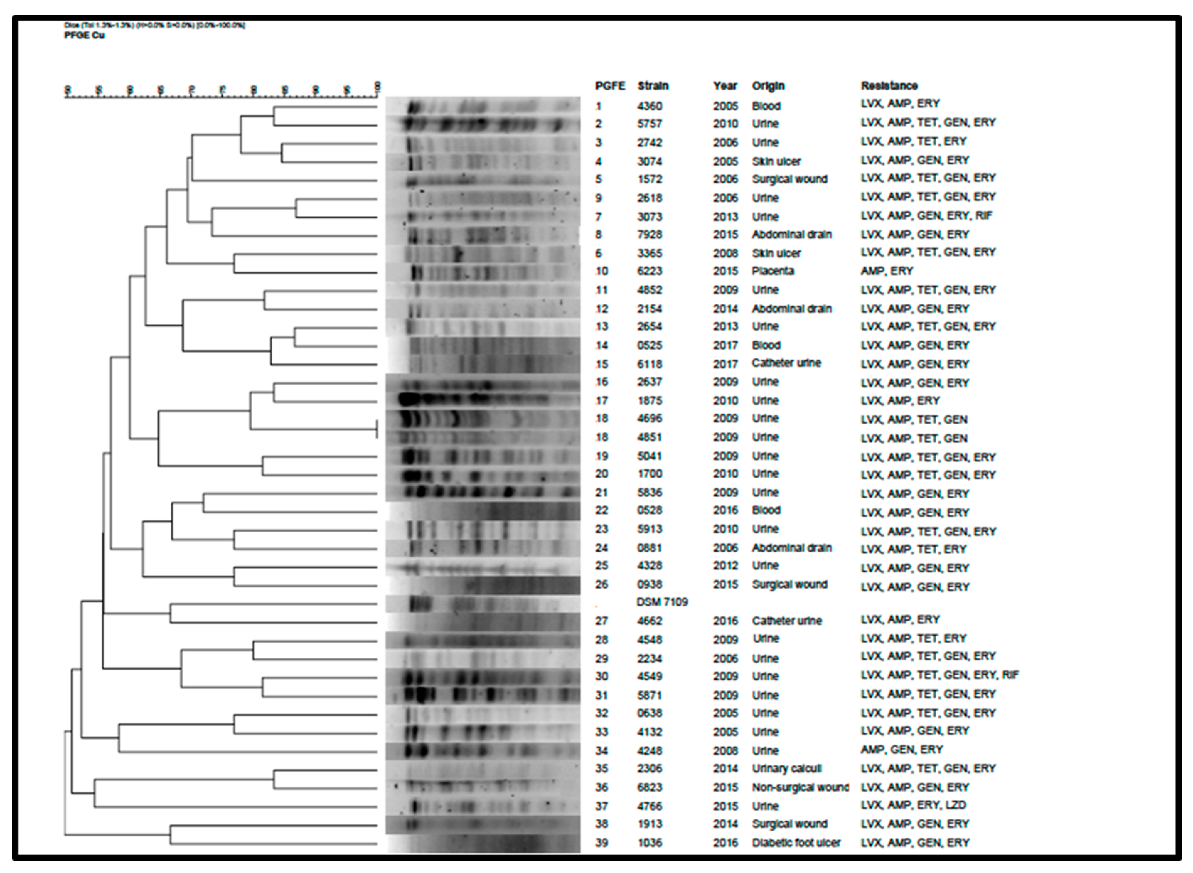 Antibiotics 09 00404 g004