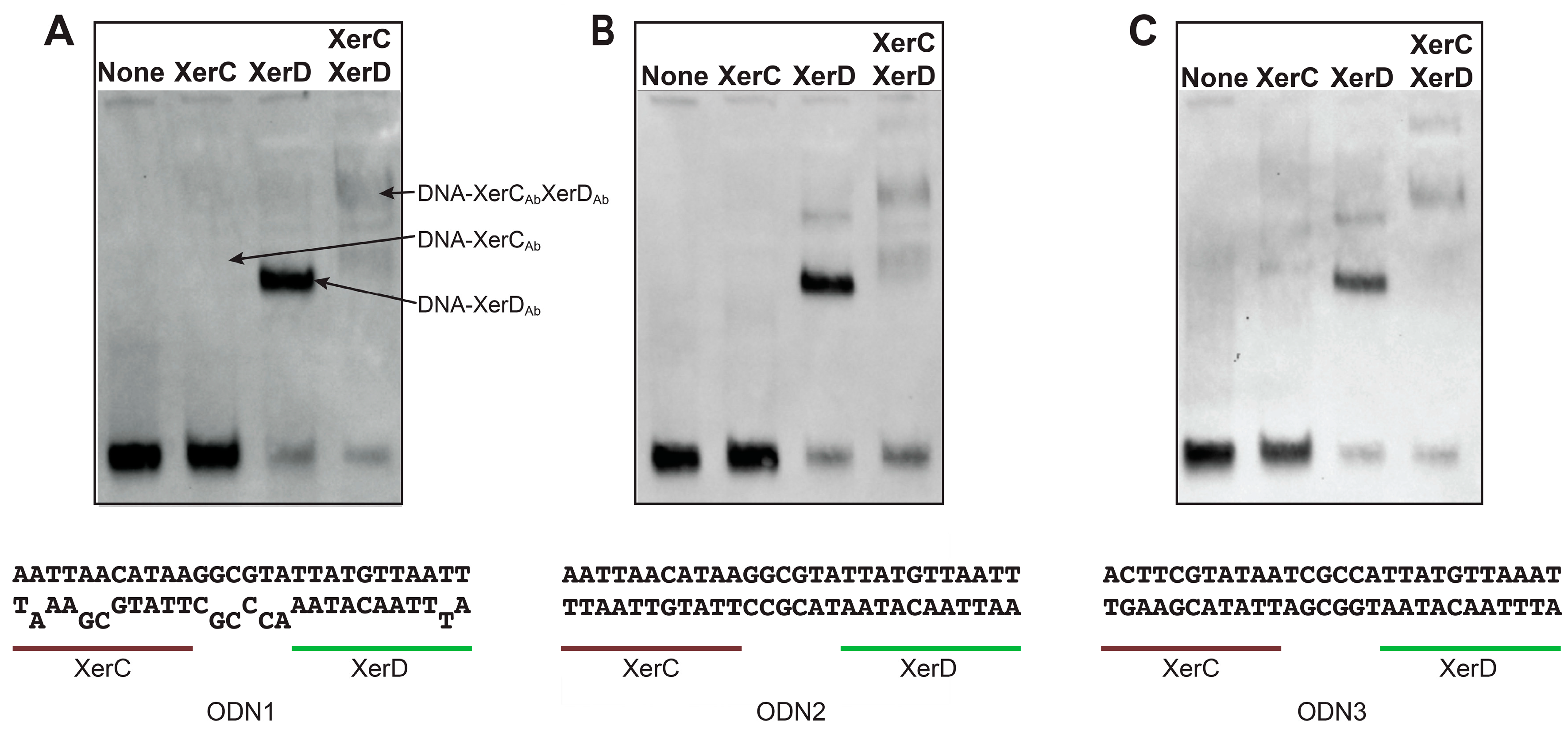 Antibiotics 09 00405 g004 Antibiotics 09 00405 g004
