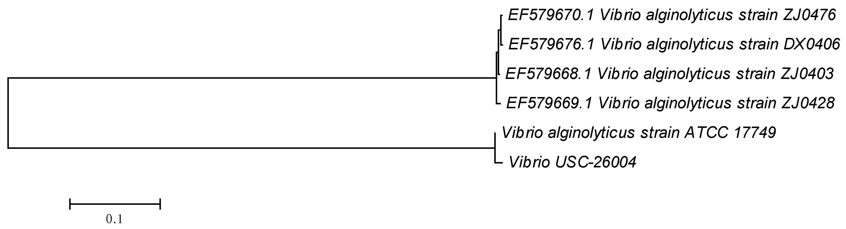 Antibiotics 09 00415 g001
