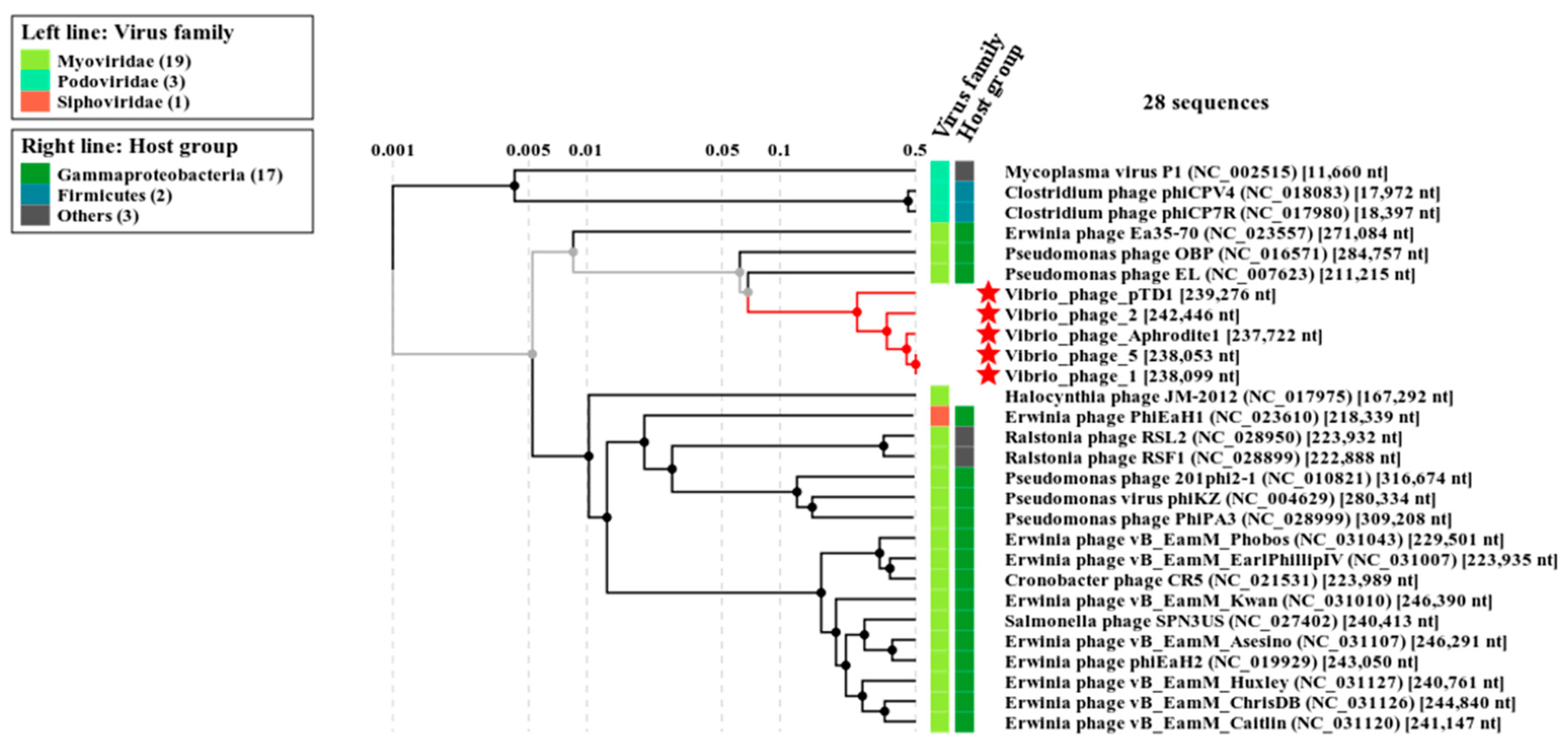 Antibiotics 09 00415 g003