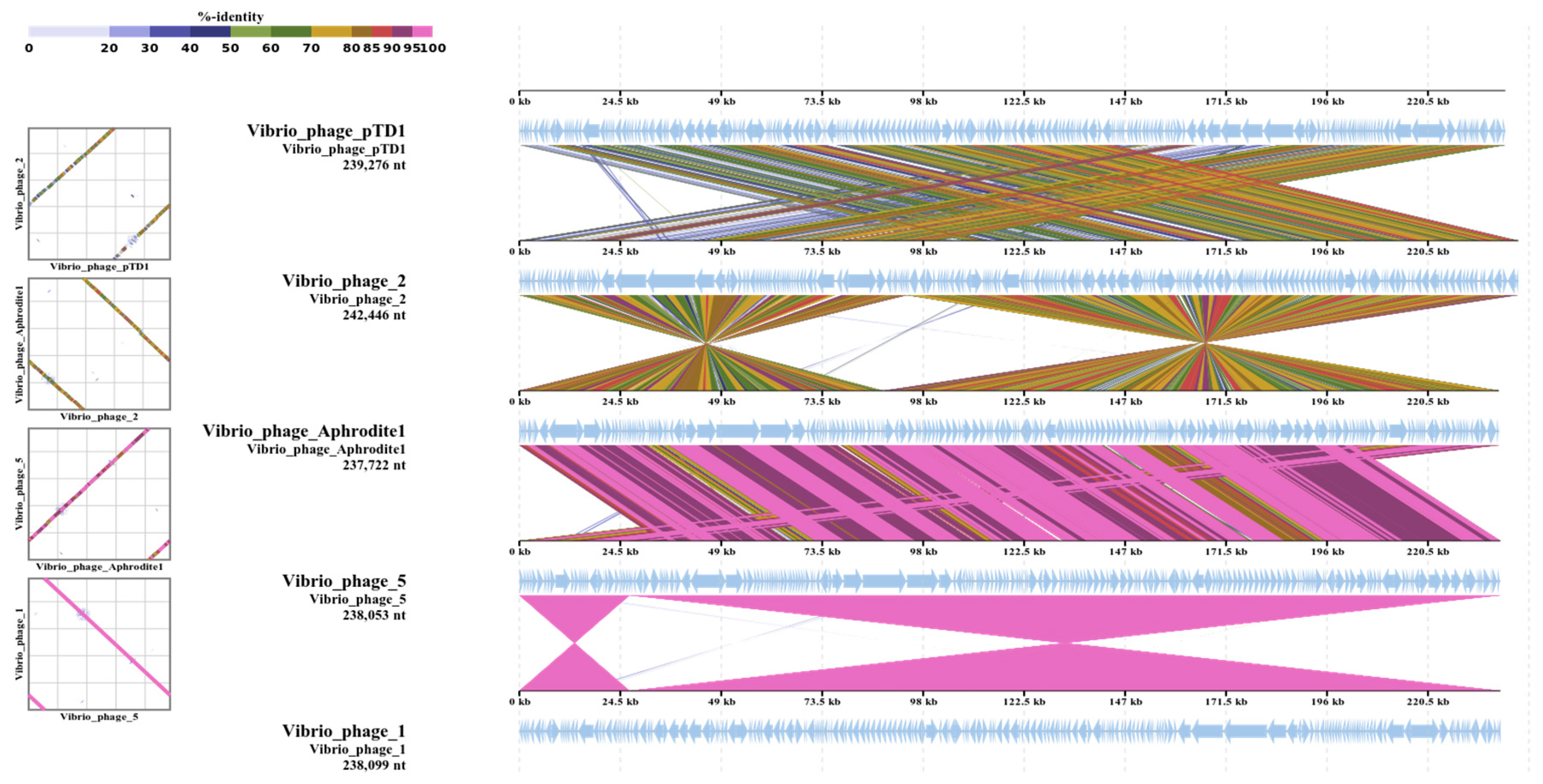 Antibiotics 09 00415 g004