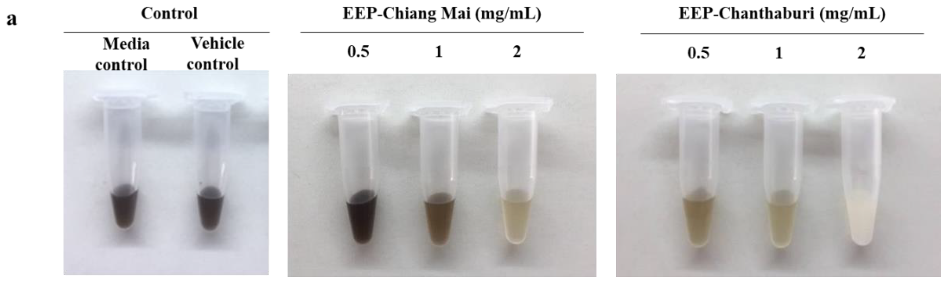 Antibiotics 09 00420 g003a