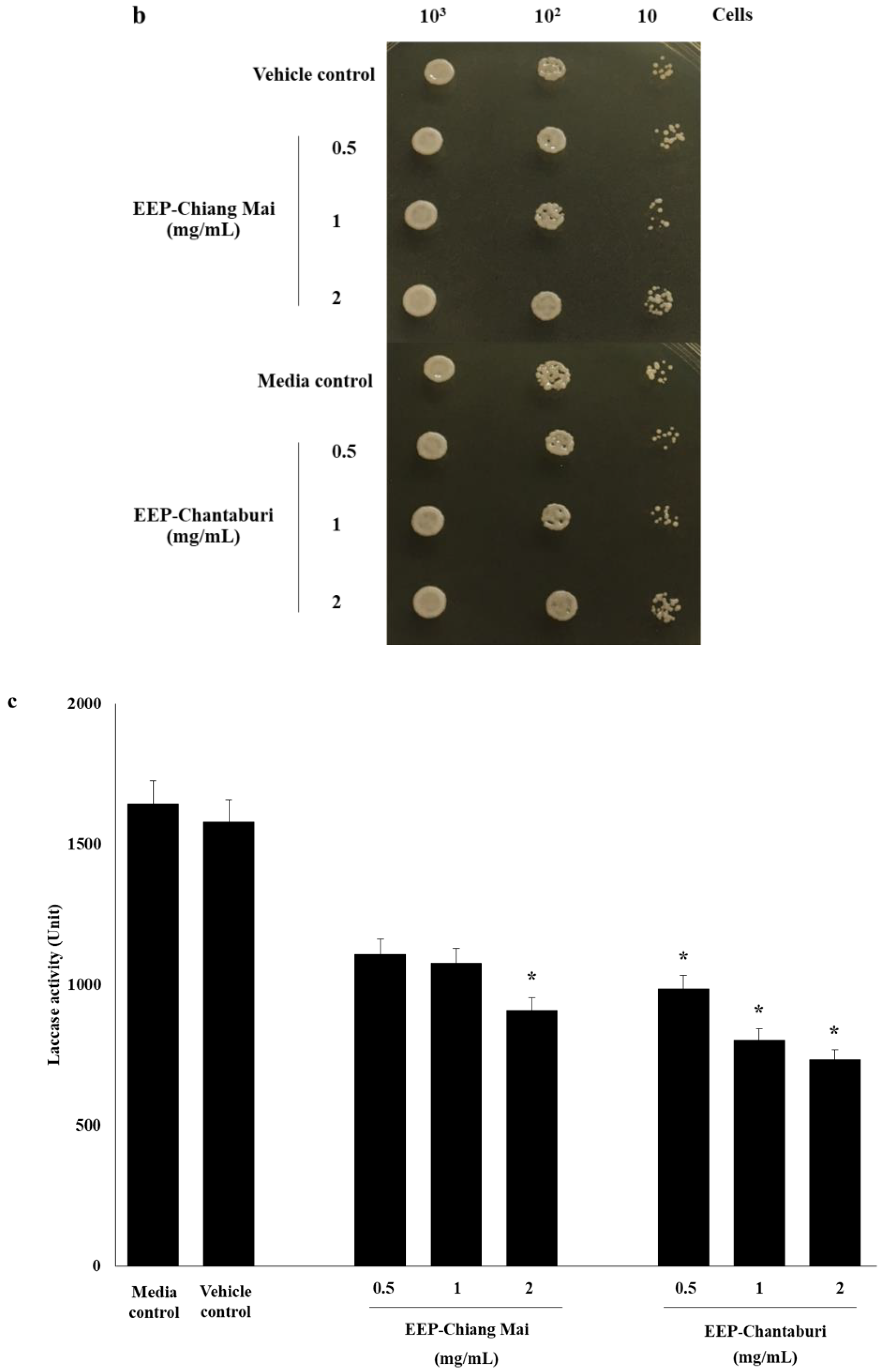 Antibiotics 09 00420 g003b