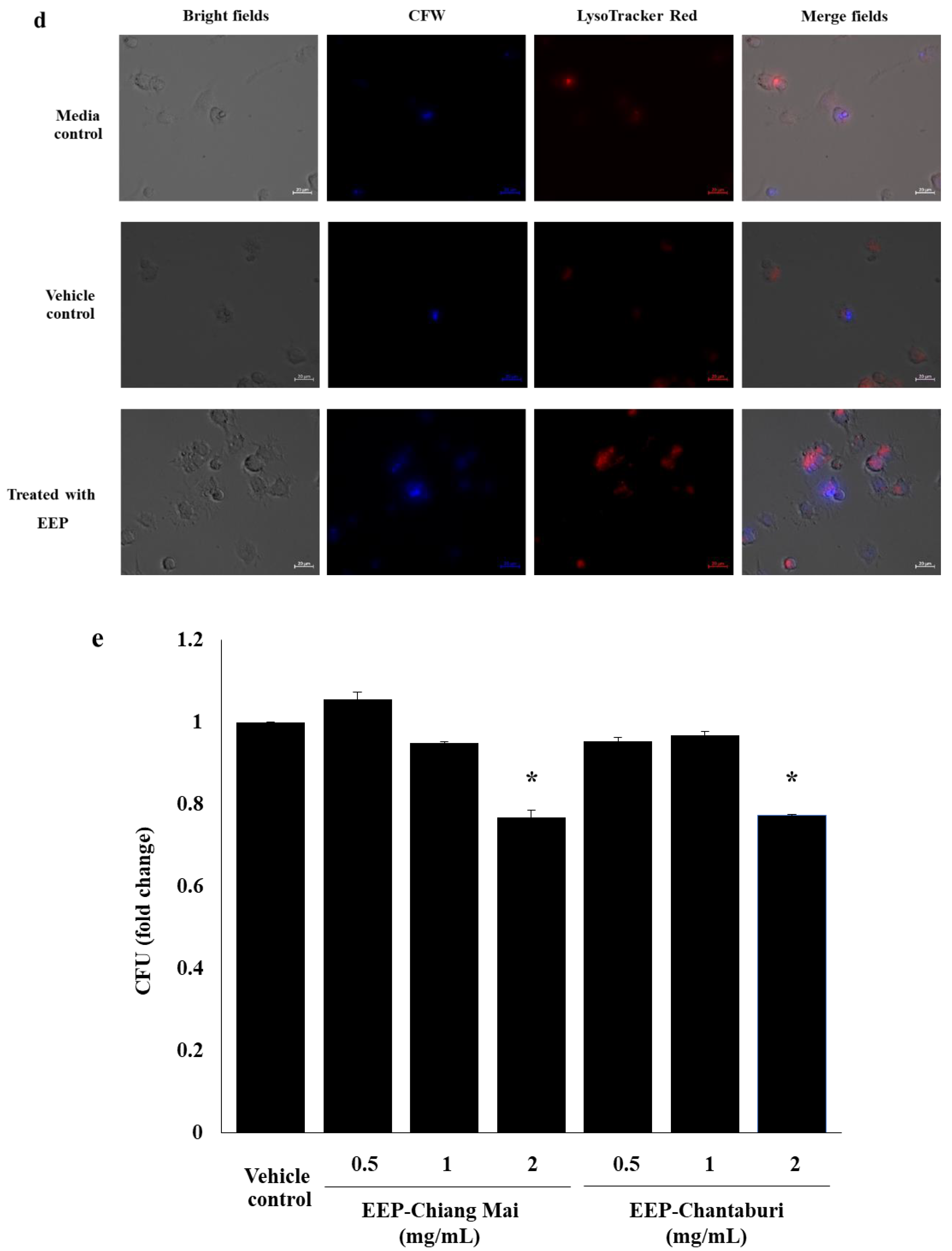 Antibiotics 09 00420 g005b