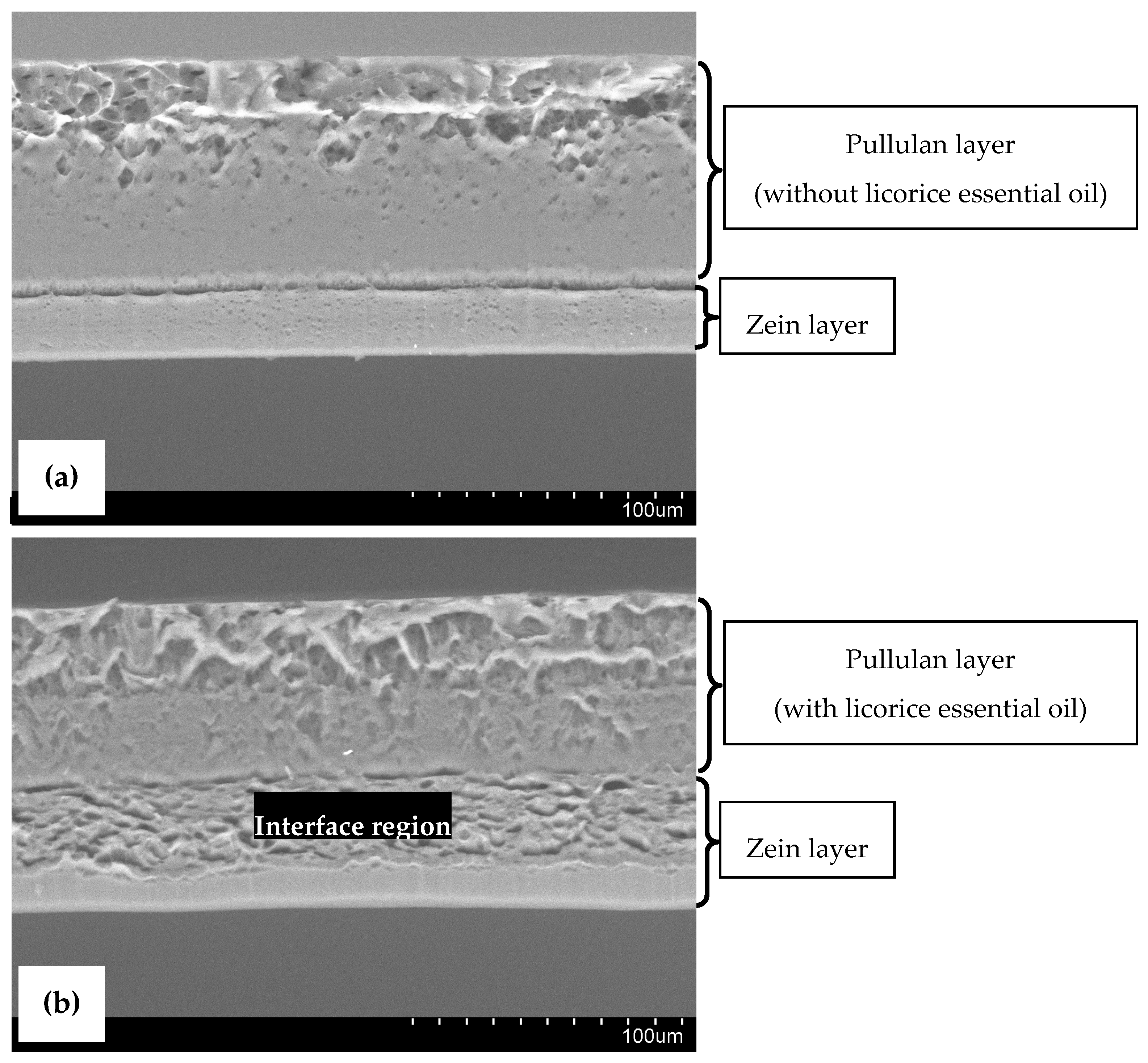Antibiotics 09 00443 g002 Antibiotics 09 00443 g002