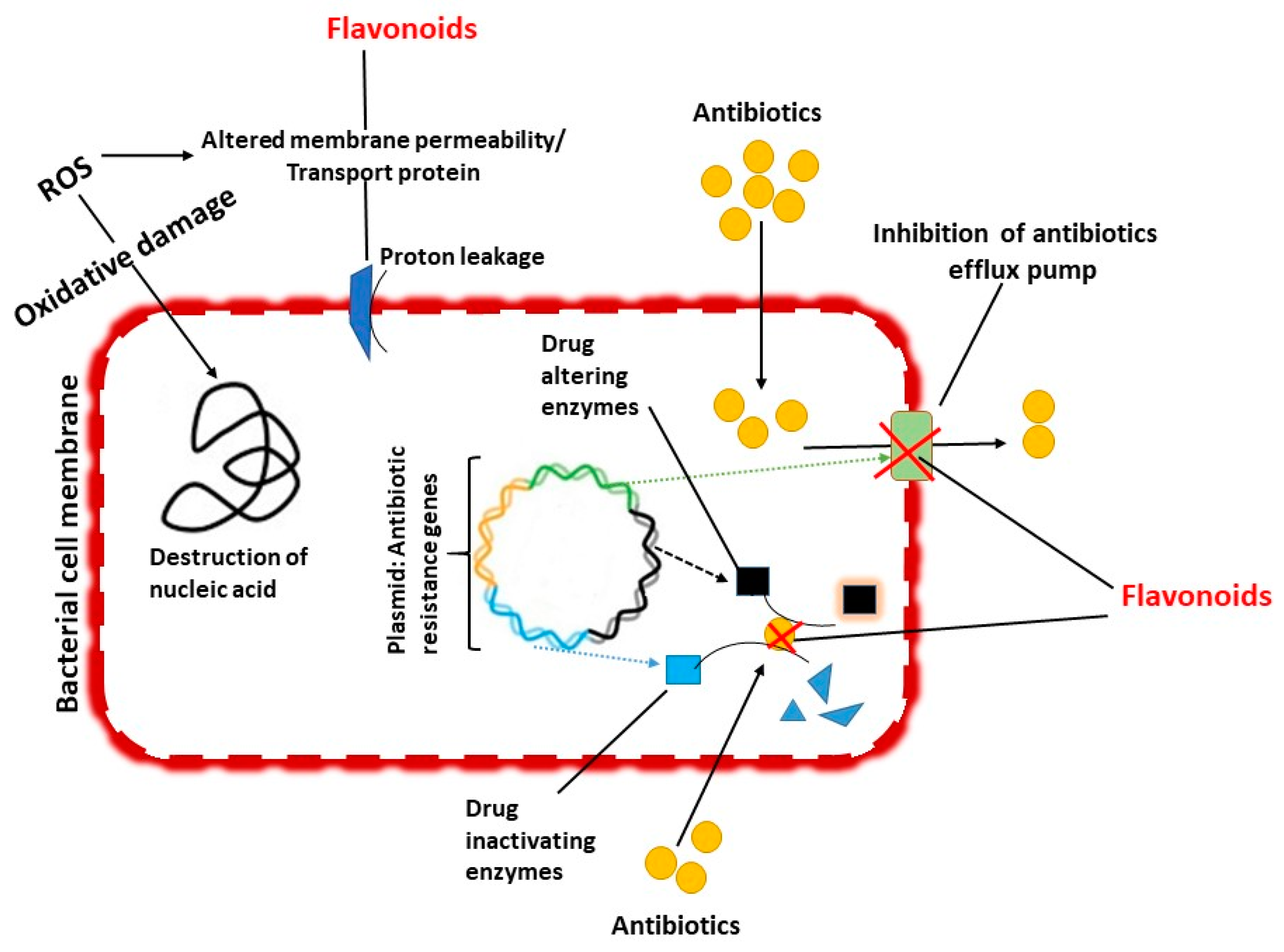 Antibiotics 09 00450 g003