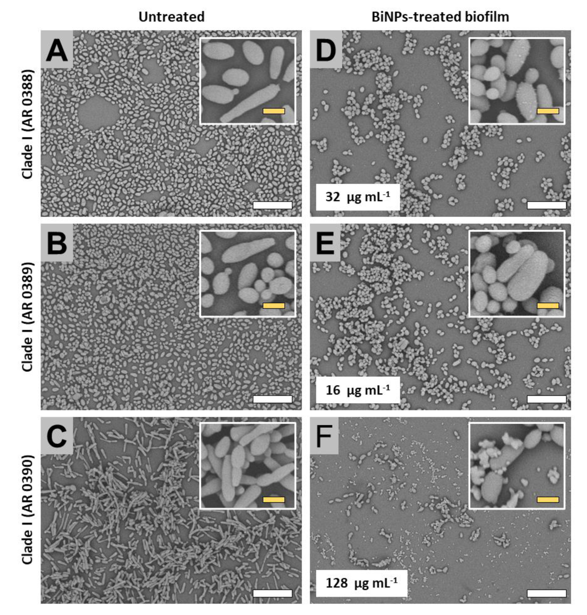 Antibiotics 09 00461 g002 Antibiotics 09 00461 g002