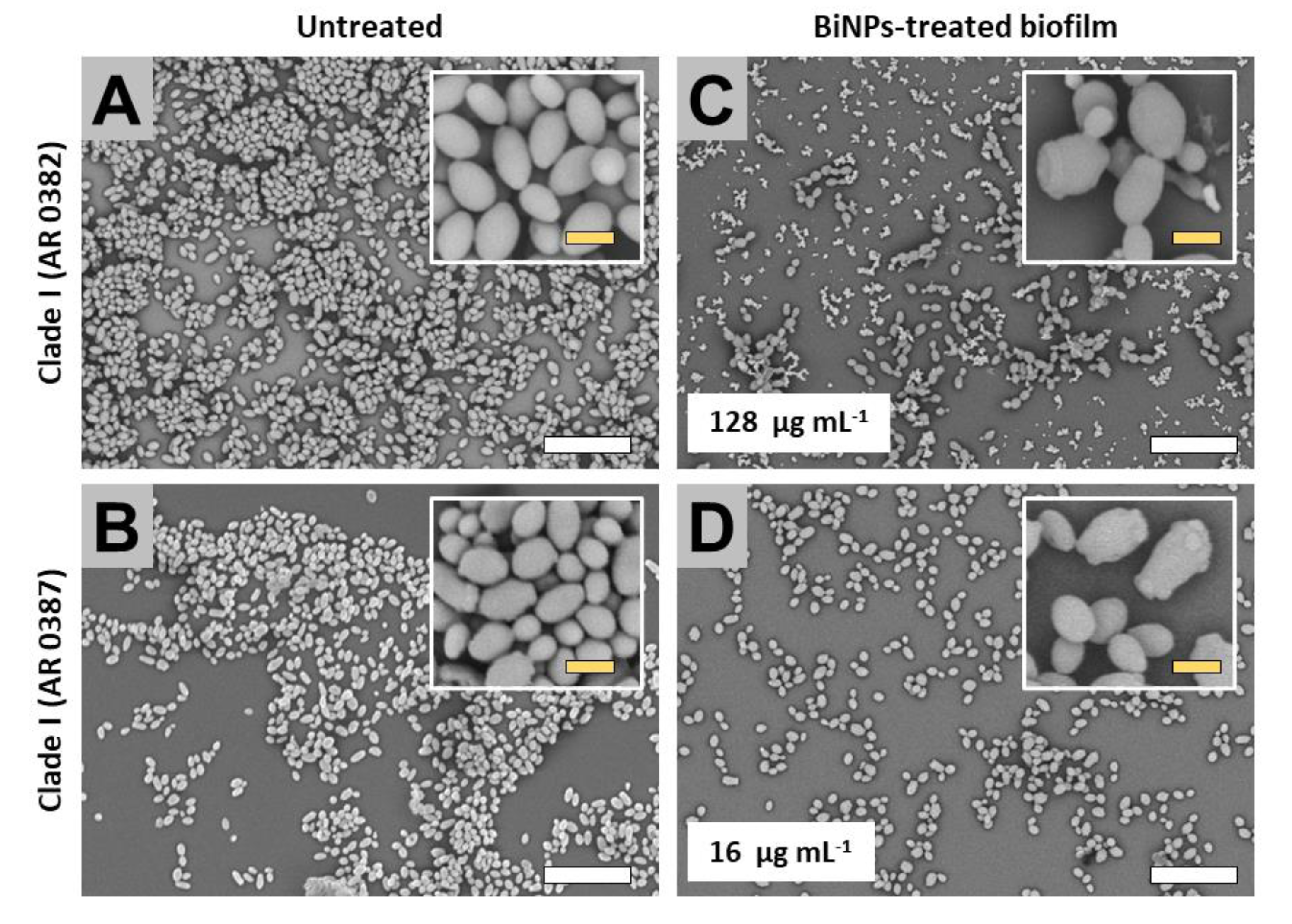 Antibiotics 09 00461 g003 Antibiotics 09 00461 g003