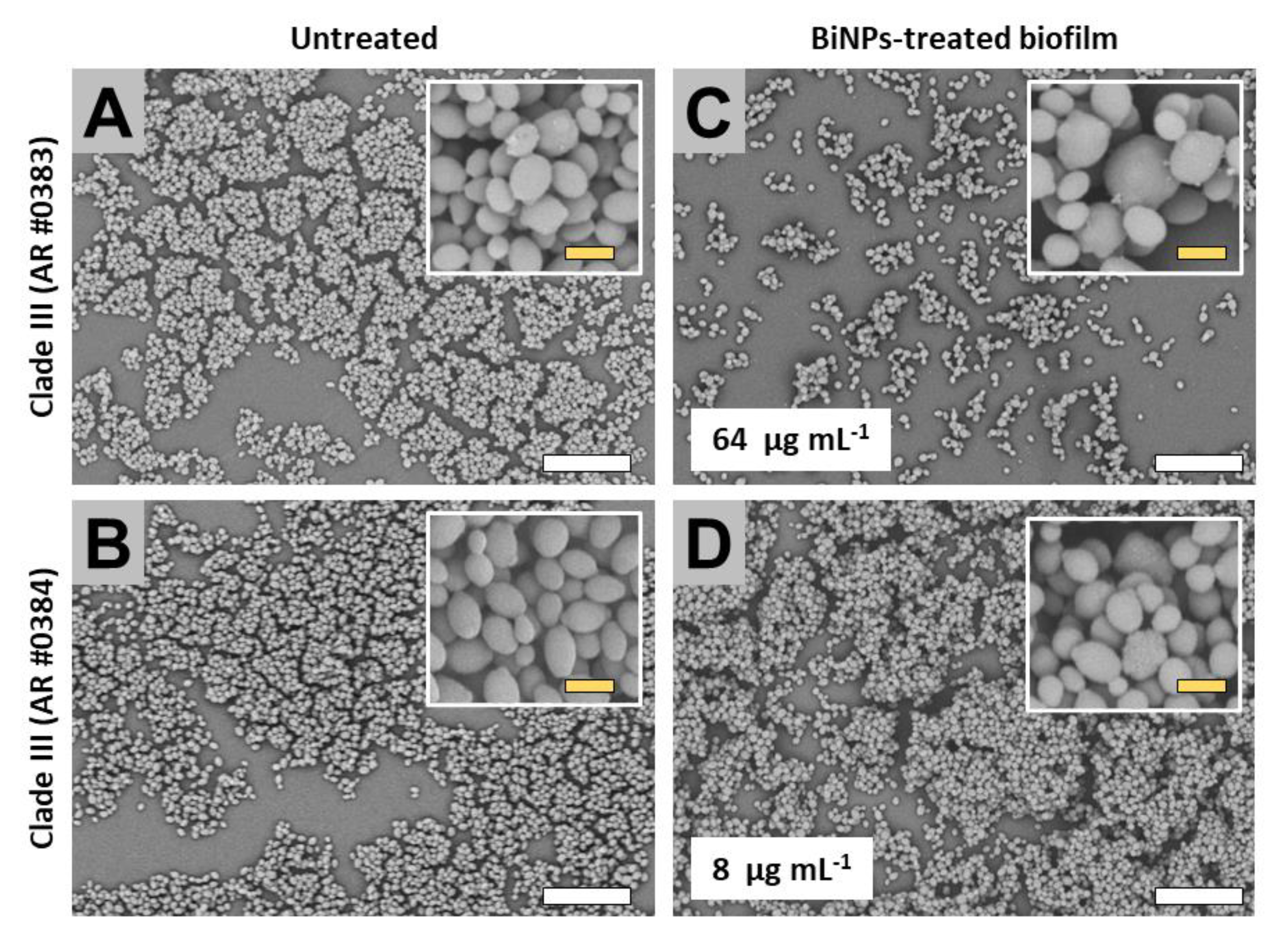 Antibiotics 09 00461 g005 Antibiotics 09 00461 g005