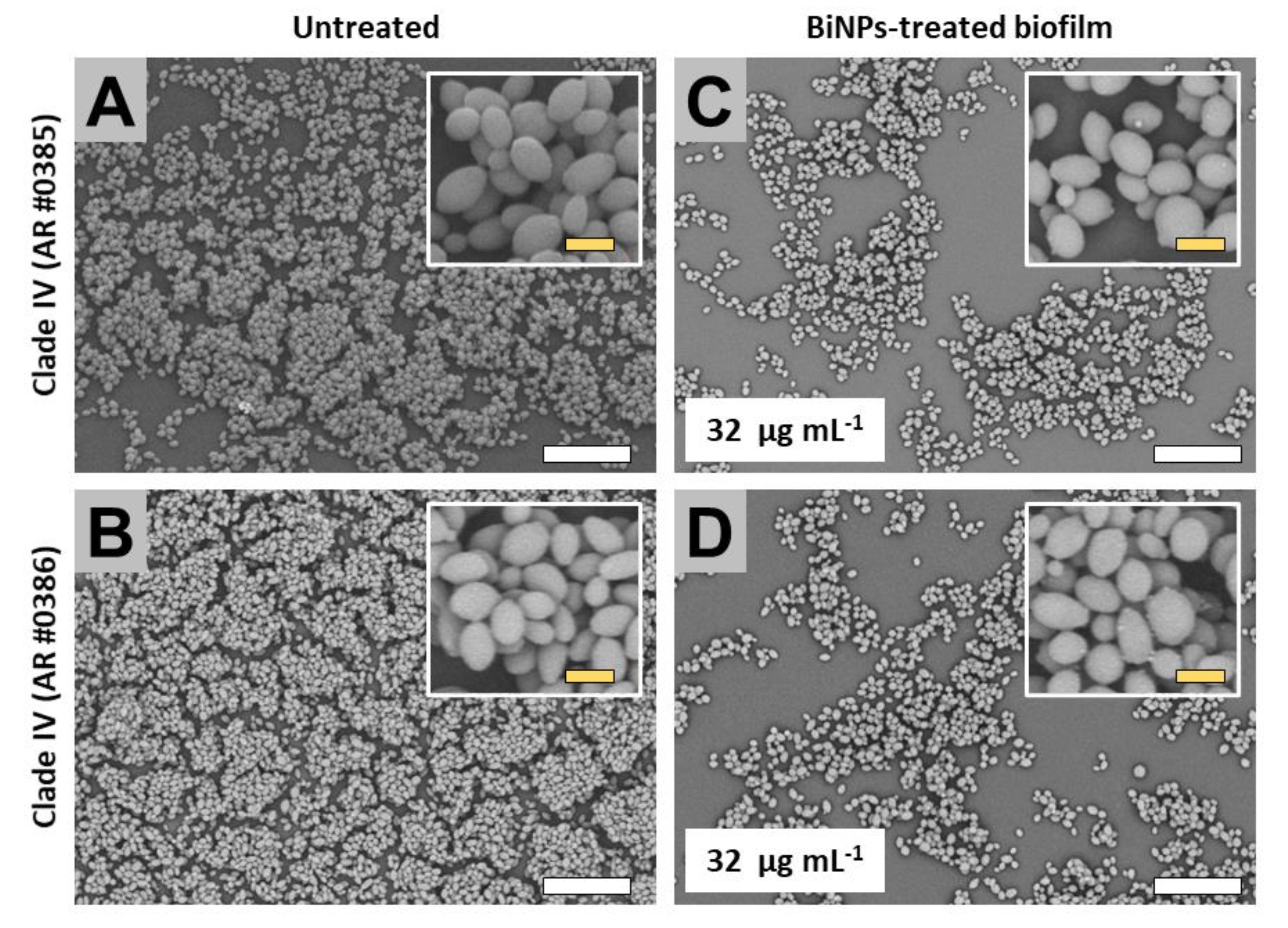 Antibiotics 09 00461 g006 Antibiotics 09 00461 g006
