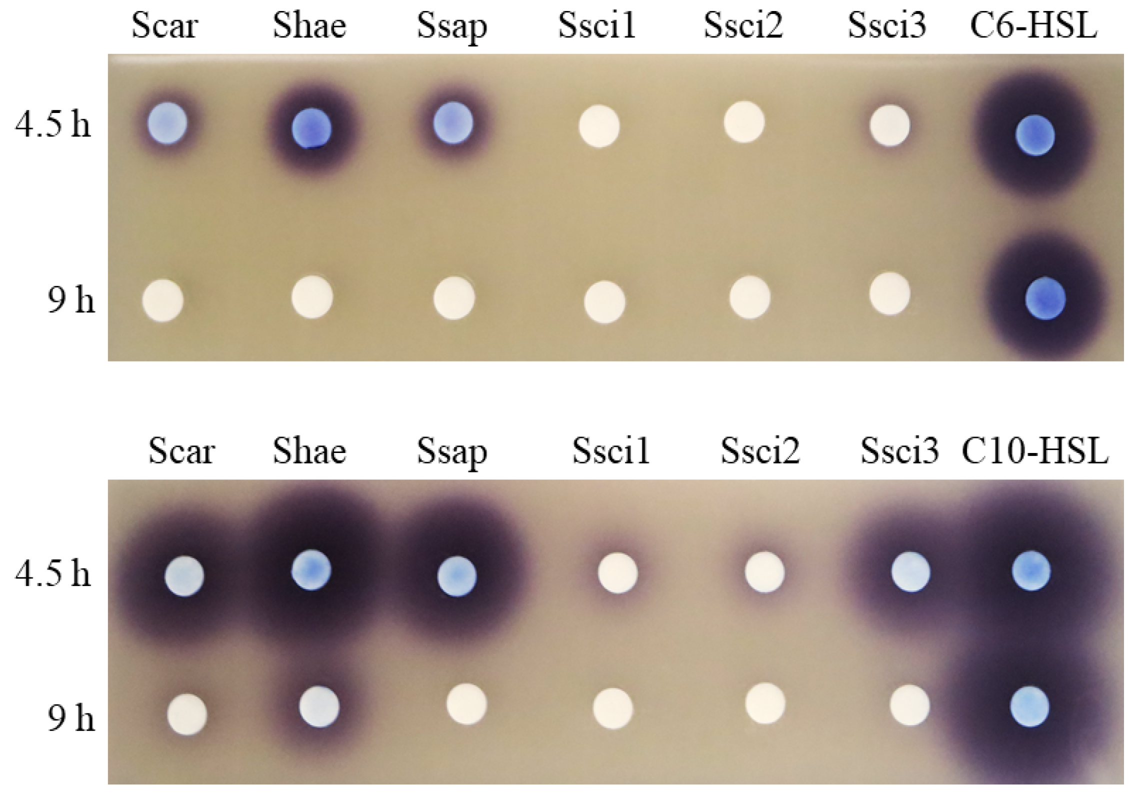 Antibiotics 09 00483 g001 Antibiotics 09 00483 g001