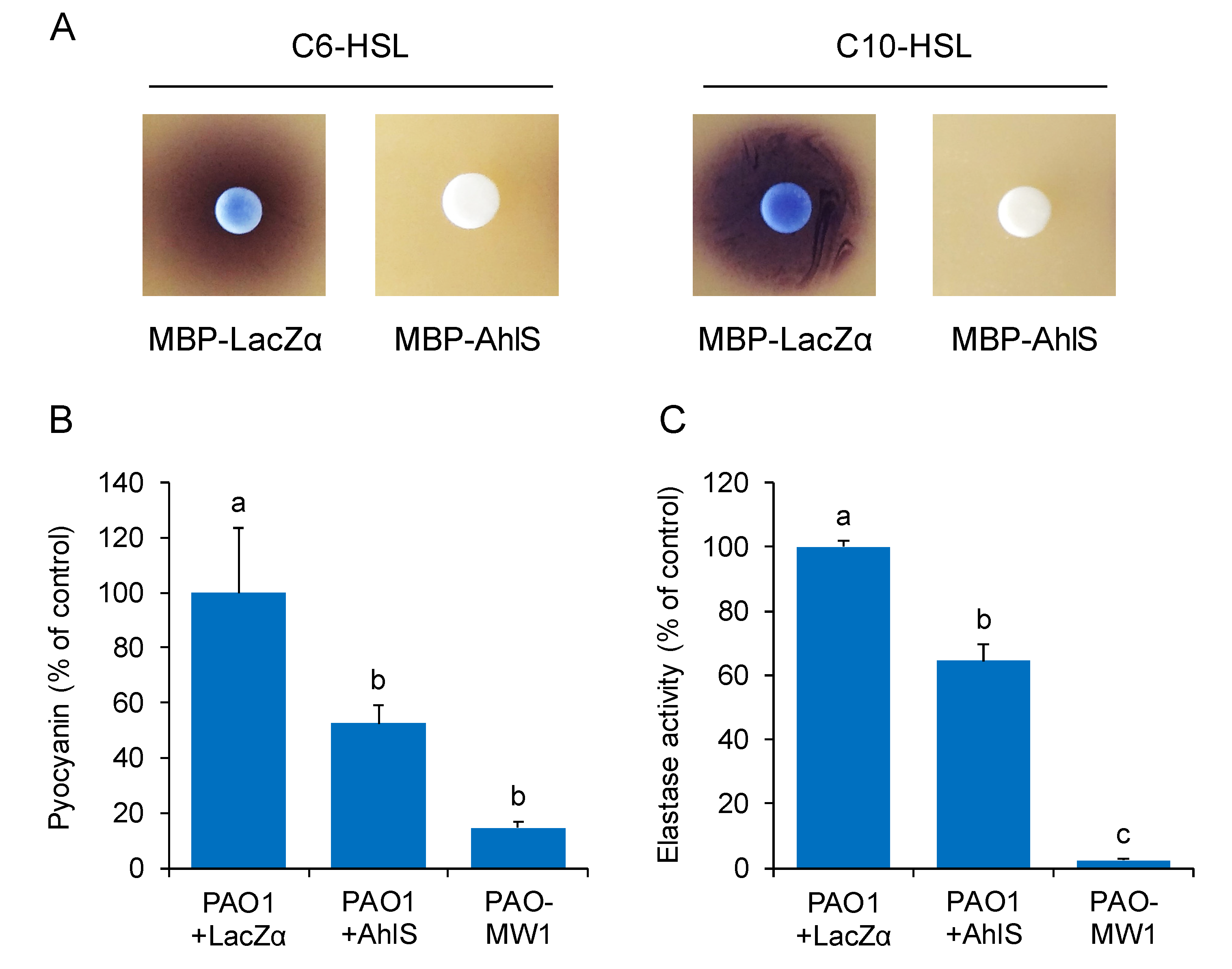 Antibiotics 09 00483 g004 Antibiotics 09 00483 g004