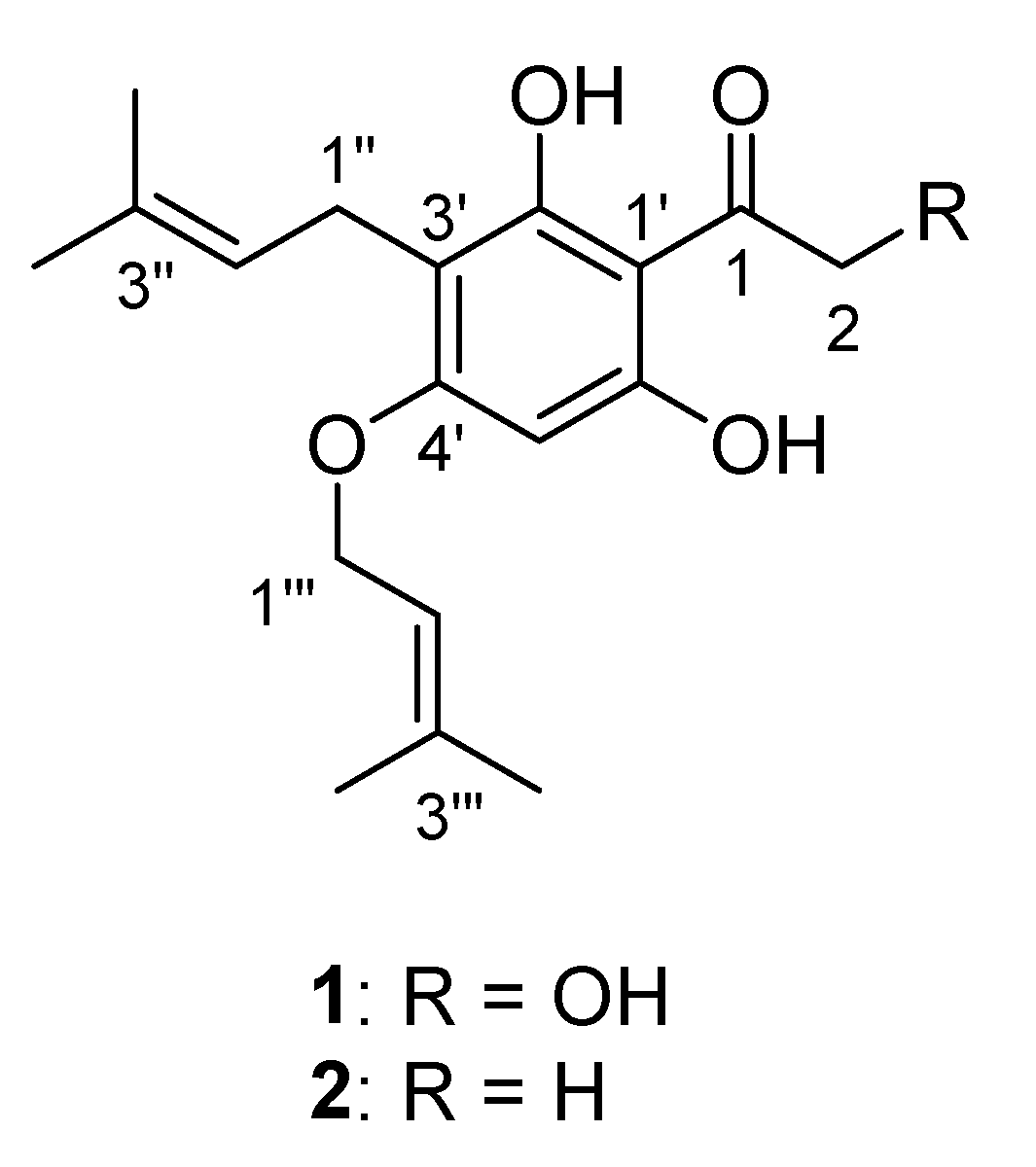 Antibiotics 09 00487 g001