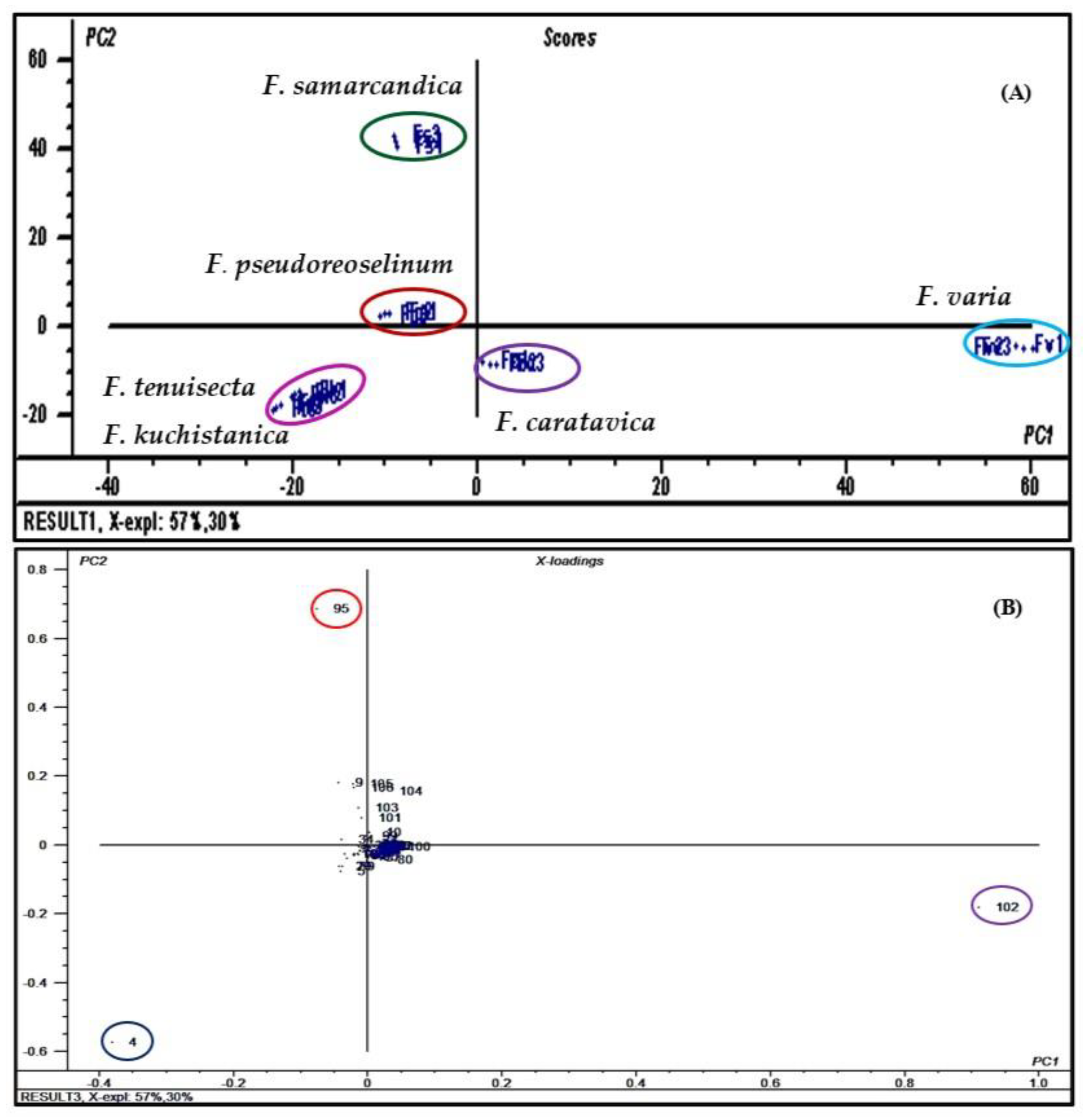 Antibiotics 09 00518 g004