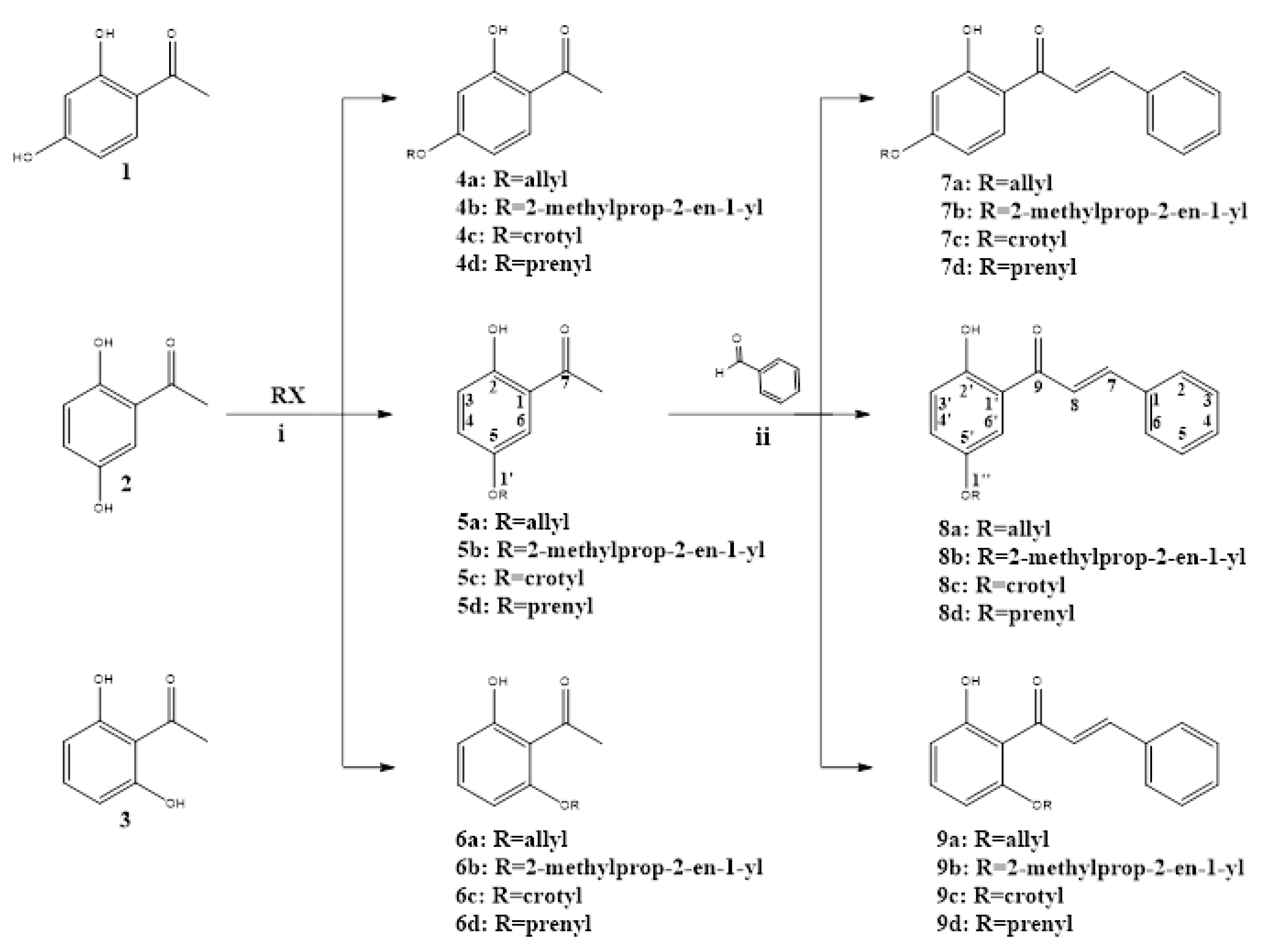 Antibiotics 09 00576 sch001 Antibiotics 09 00576 sch001