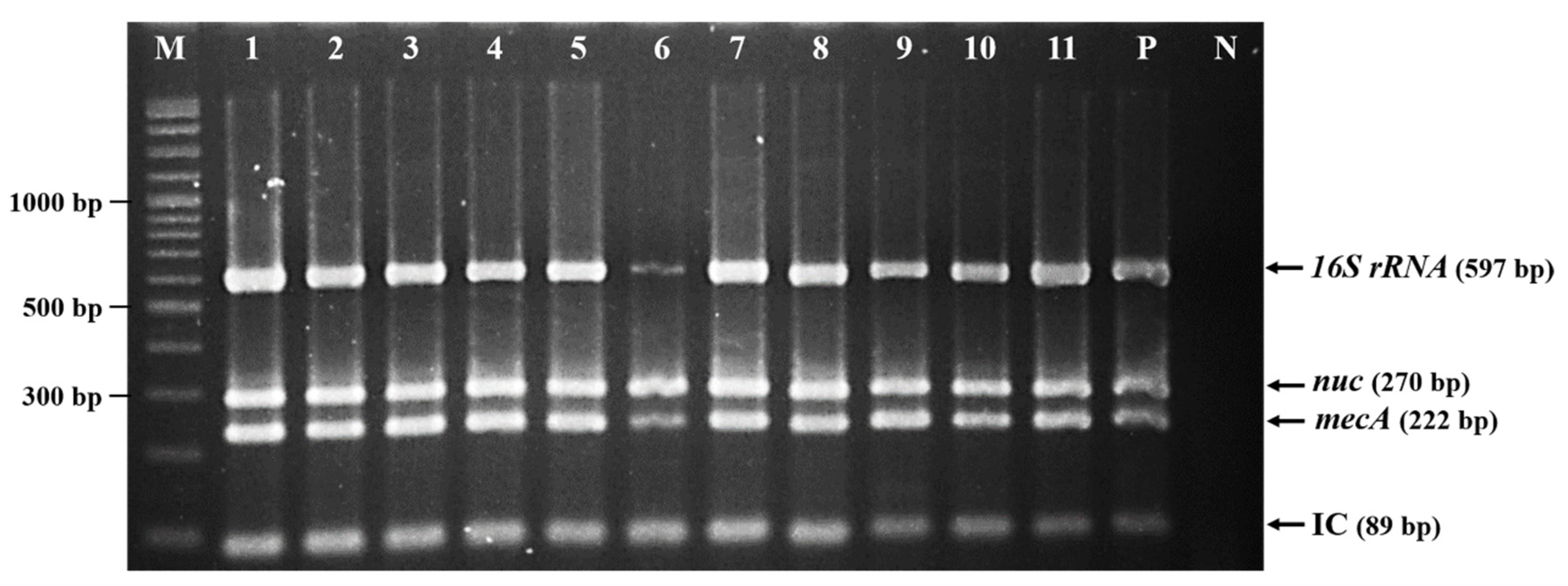 Antibiotics 09 00651 g001