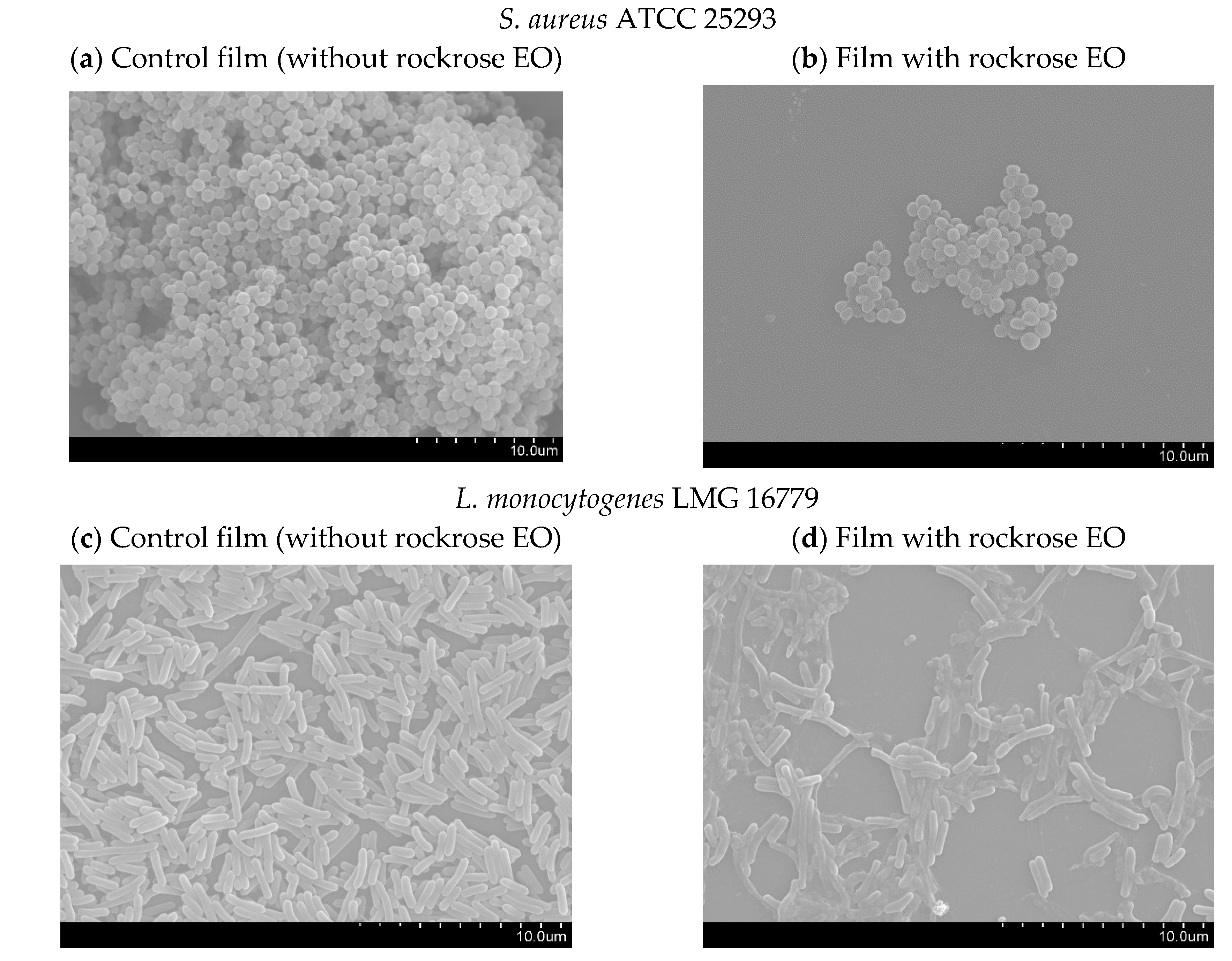 Antibiotics 09 00681 g004a