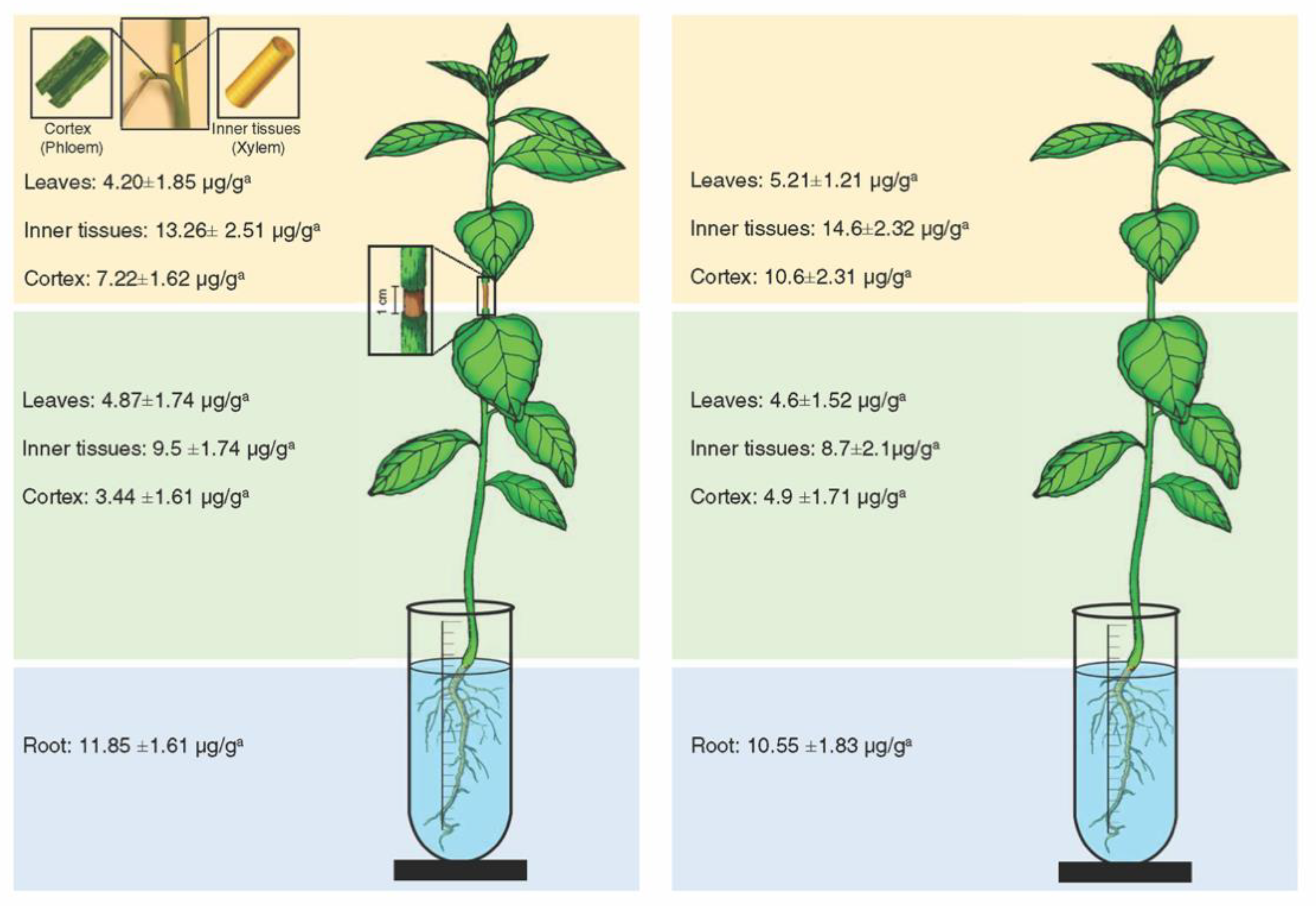 Antibiotics 09 00691 g002 Antibiotics 09 00691 g002