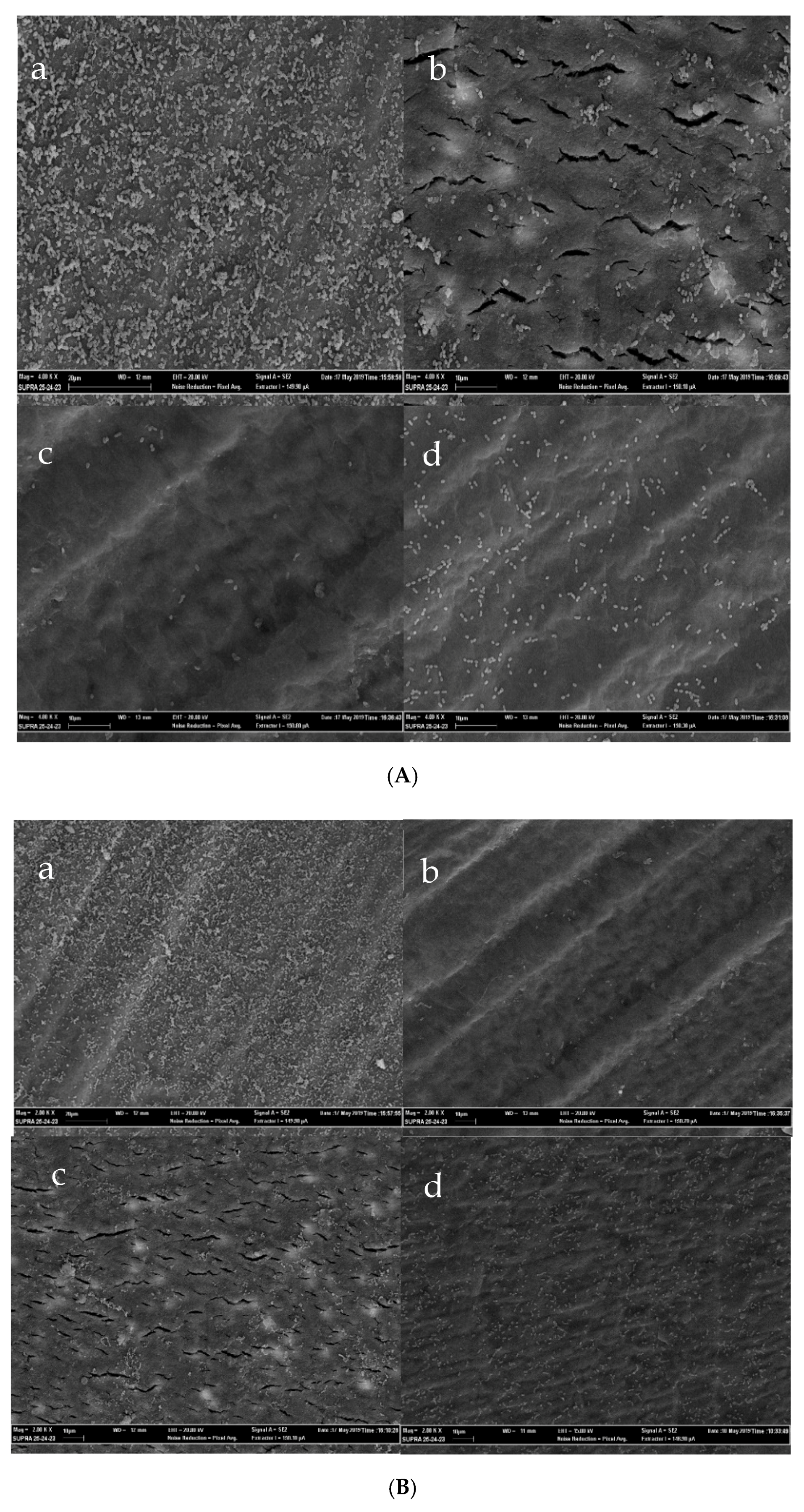 Antibiotics 09 00692 g005