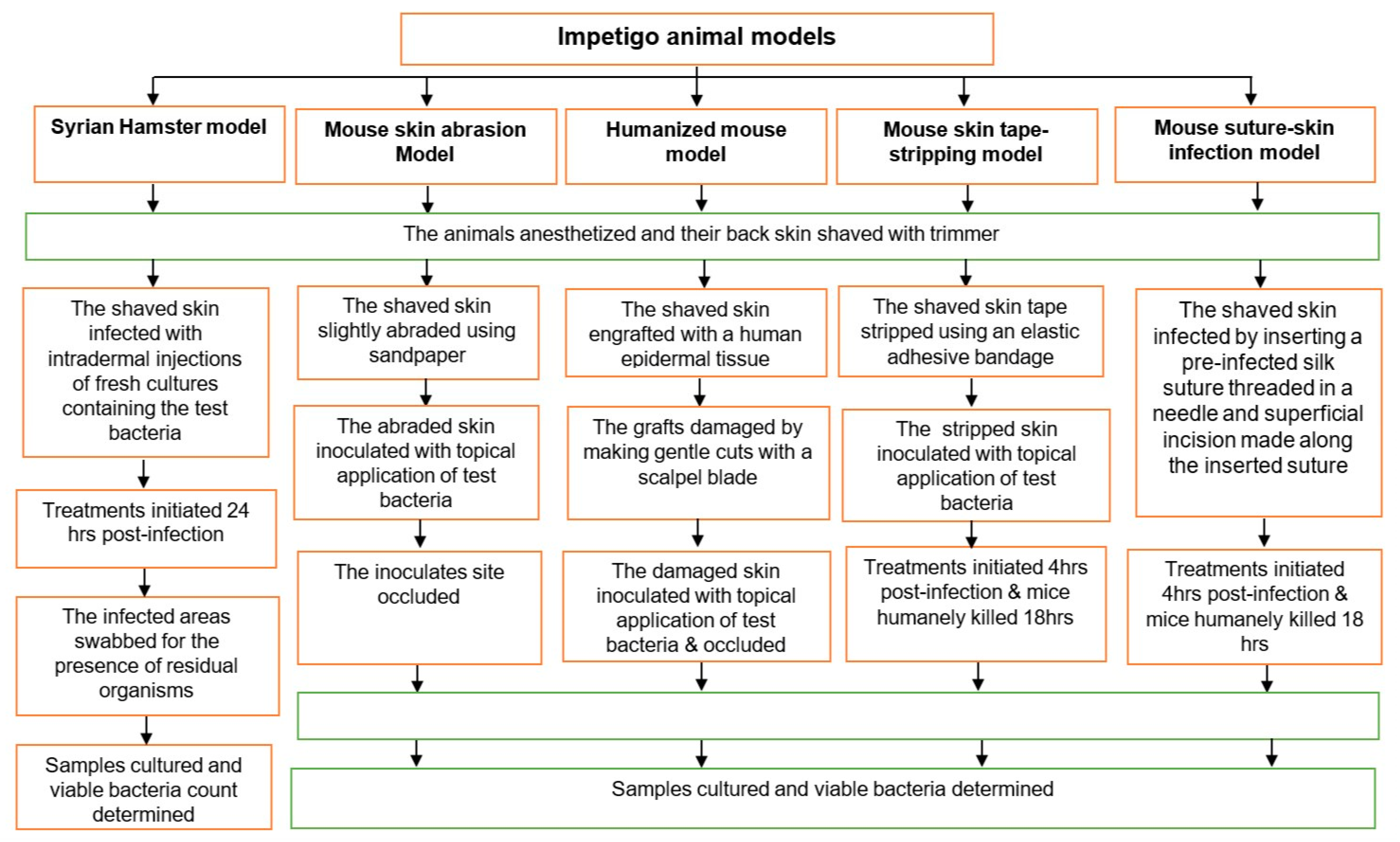 Antibiotics 09 00694 g001