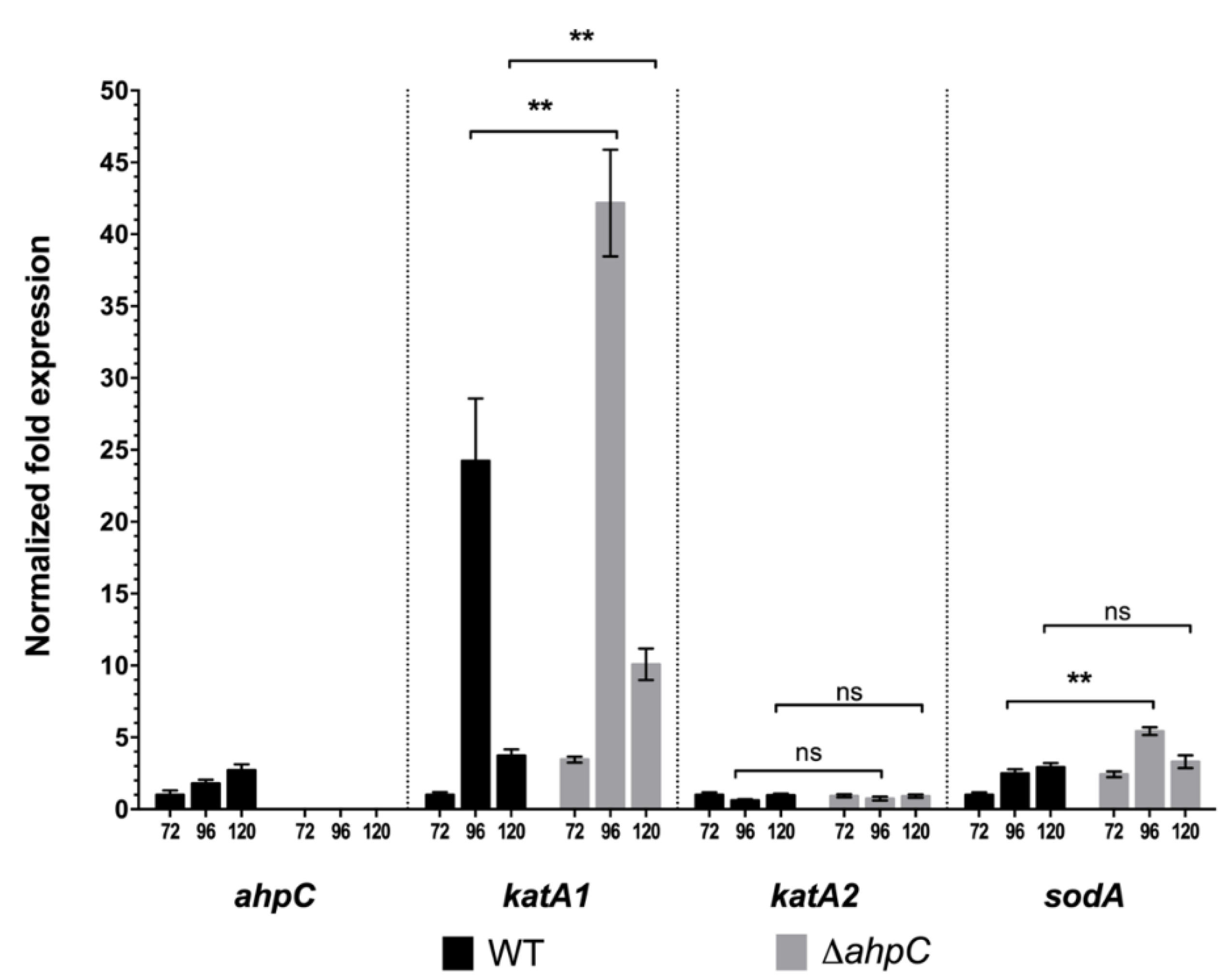 Antibiotics 09 00703 g002