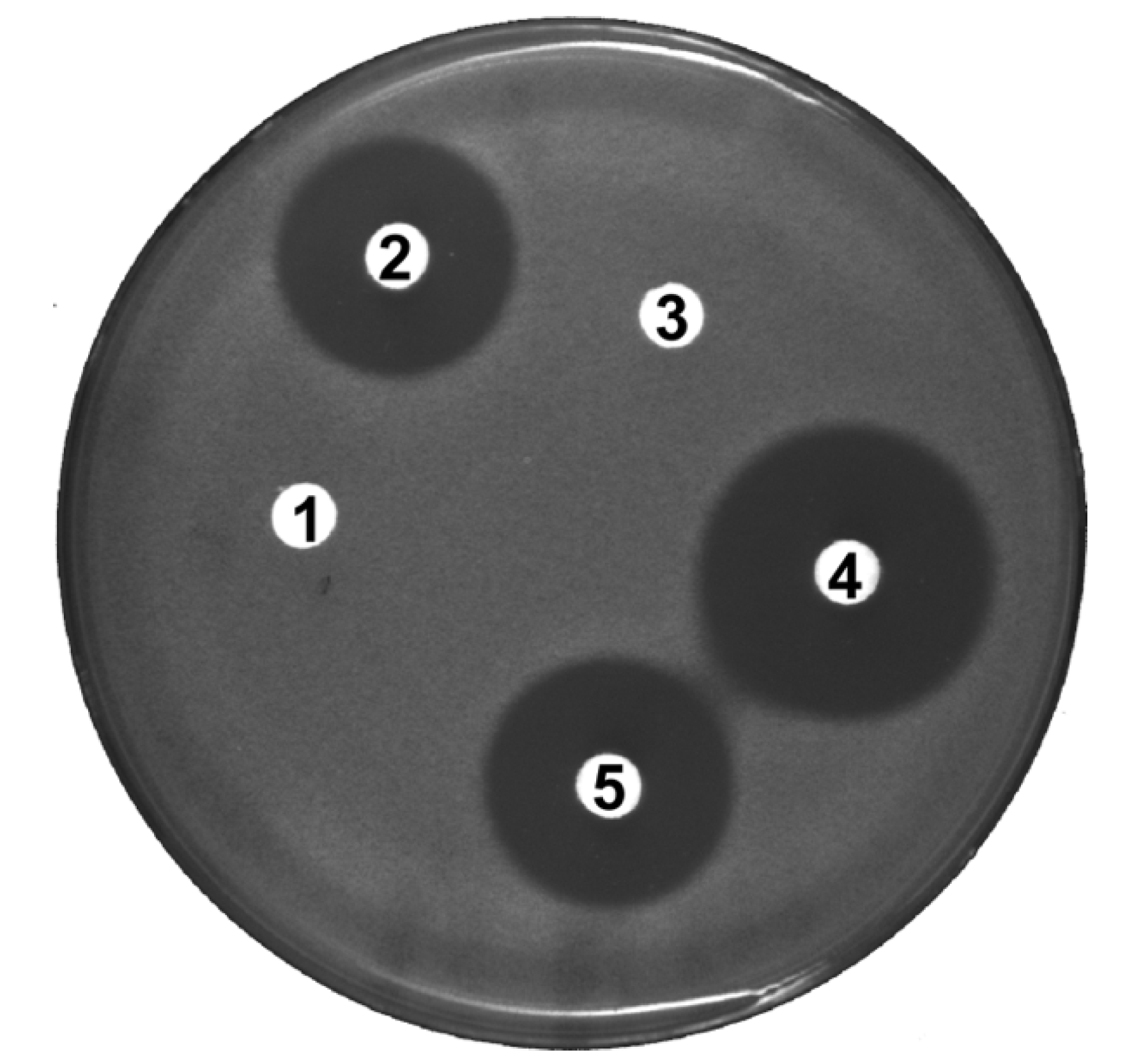 Antibiotics 09 00703 g004