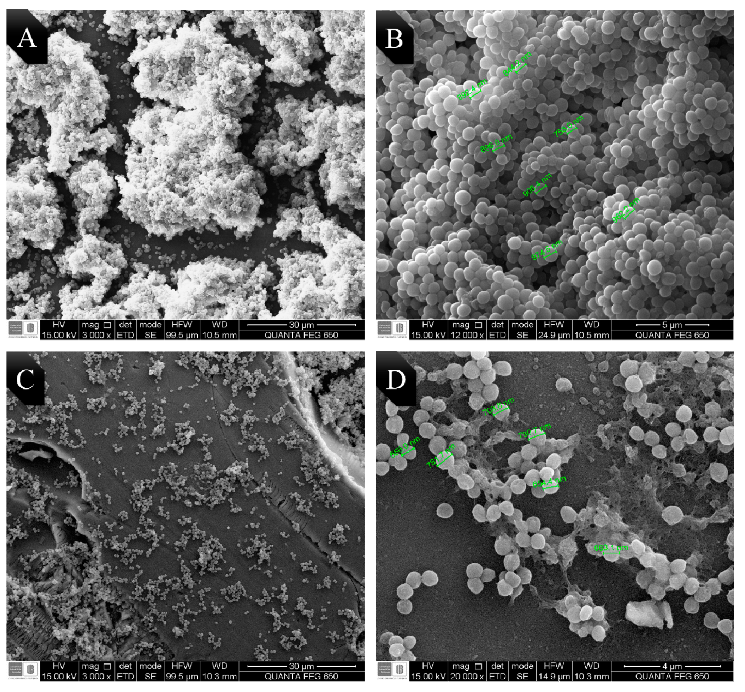 Antibiotics 09 00730 g002 Antibiotics 09 00730 g002