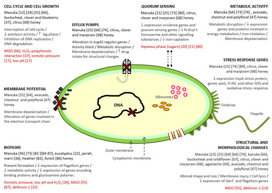 Antibiotics 09 00774 g001