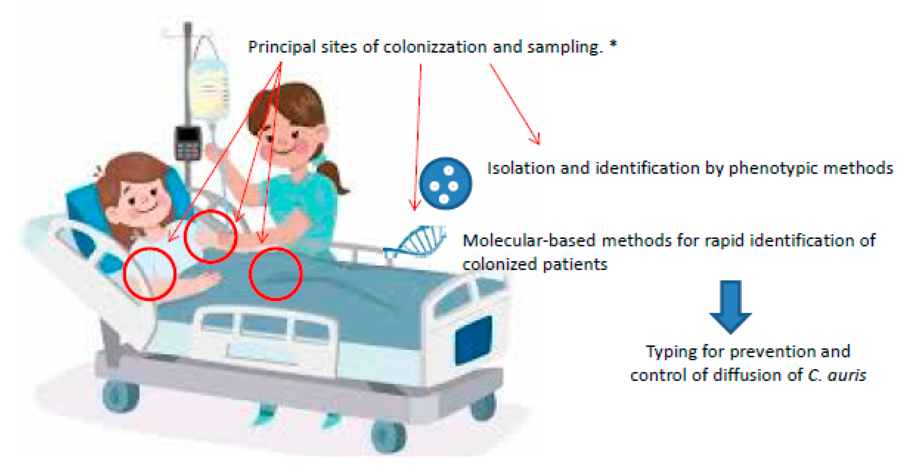 Antibiotics 09 00778 g001