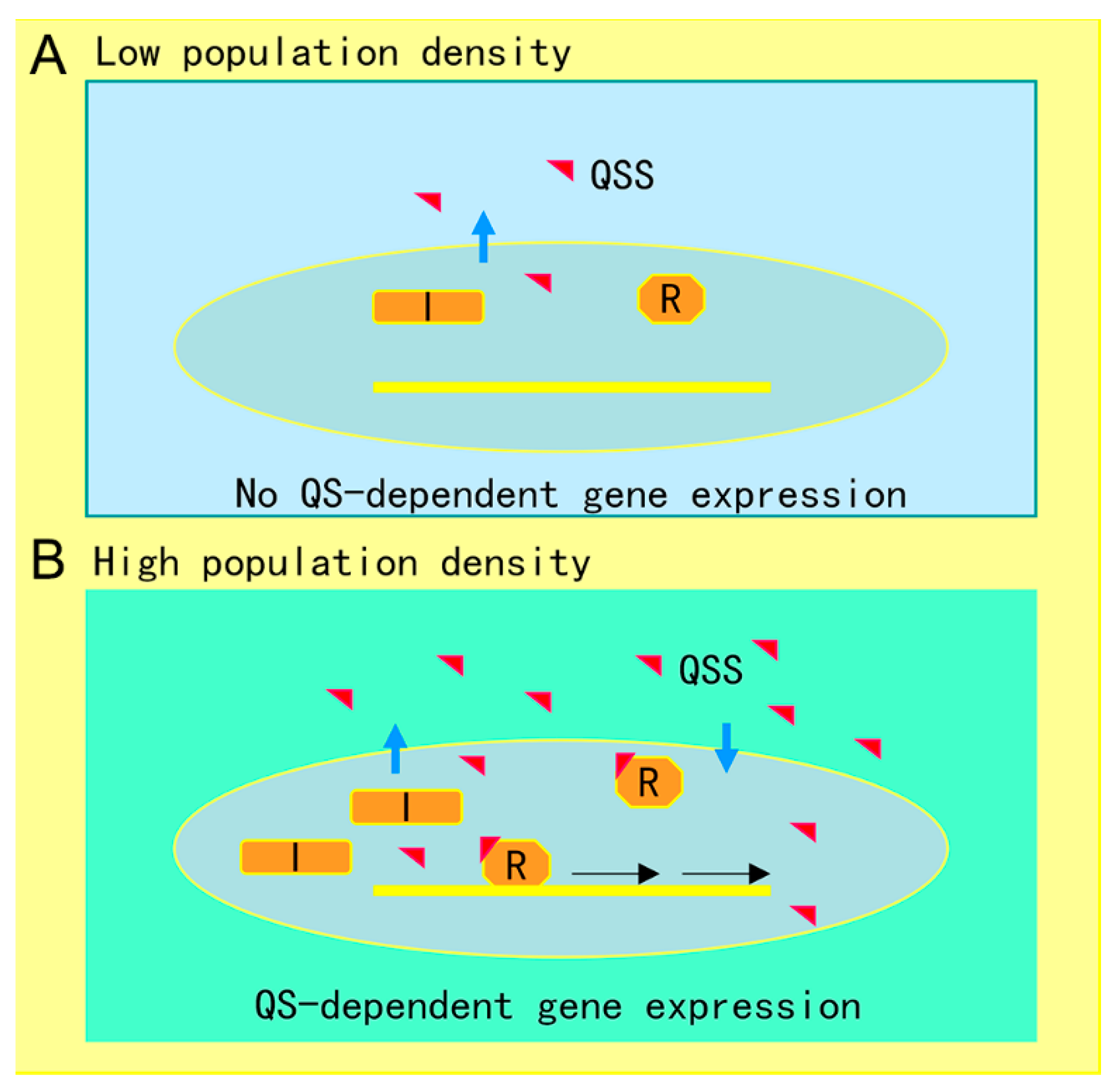 Antibiotics 09 00779 g001