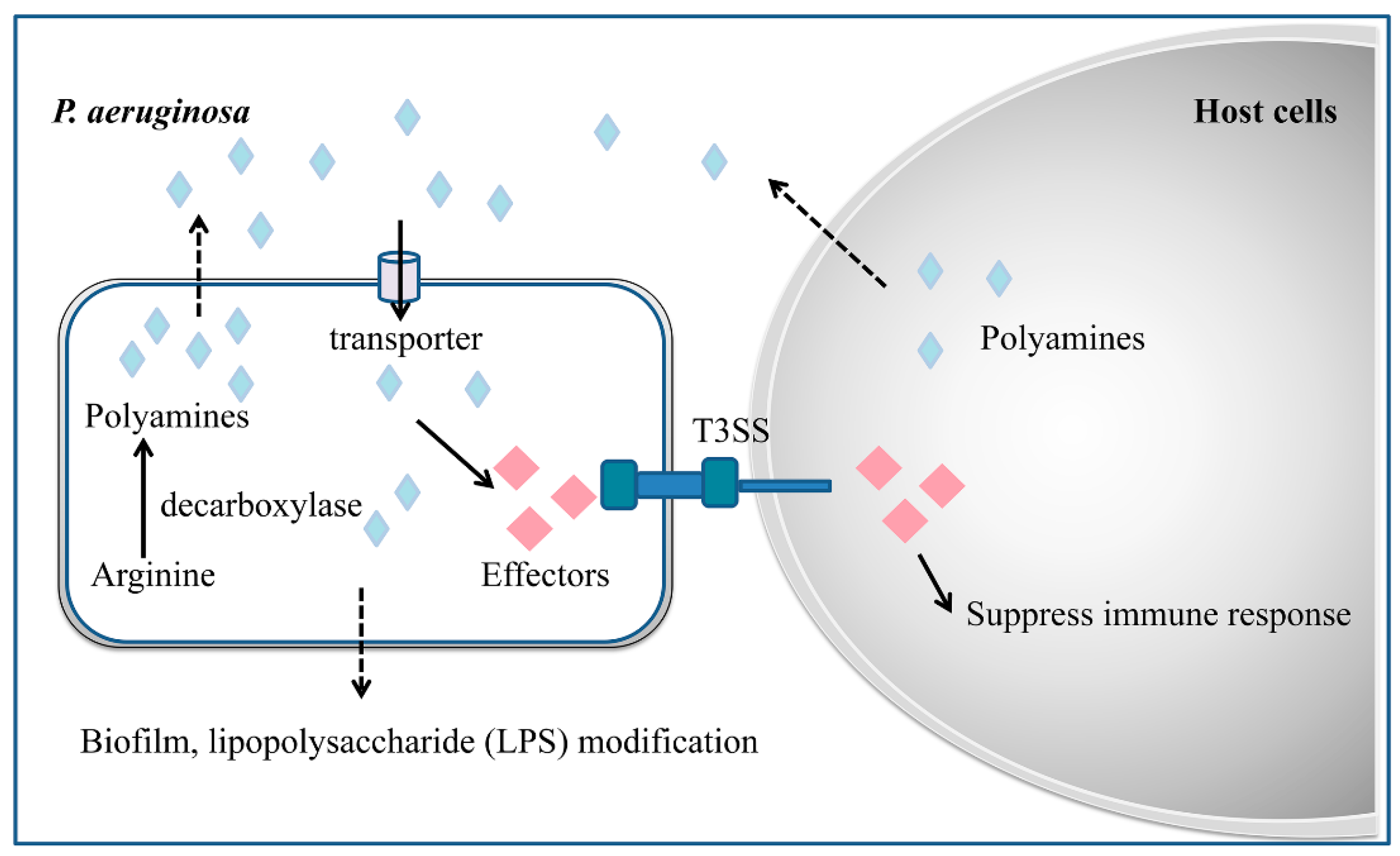 Antibiotics 09 00779 g002