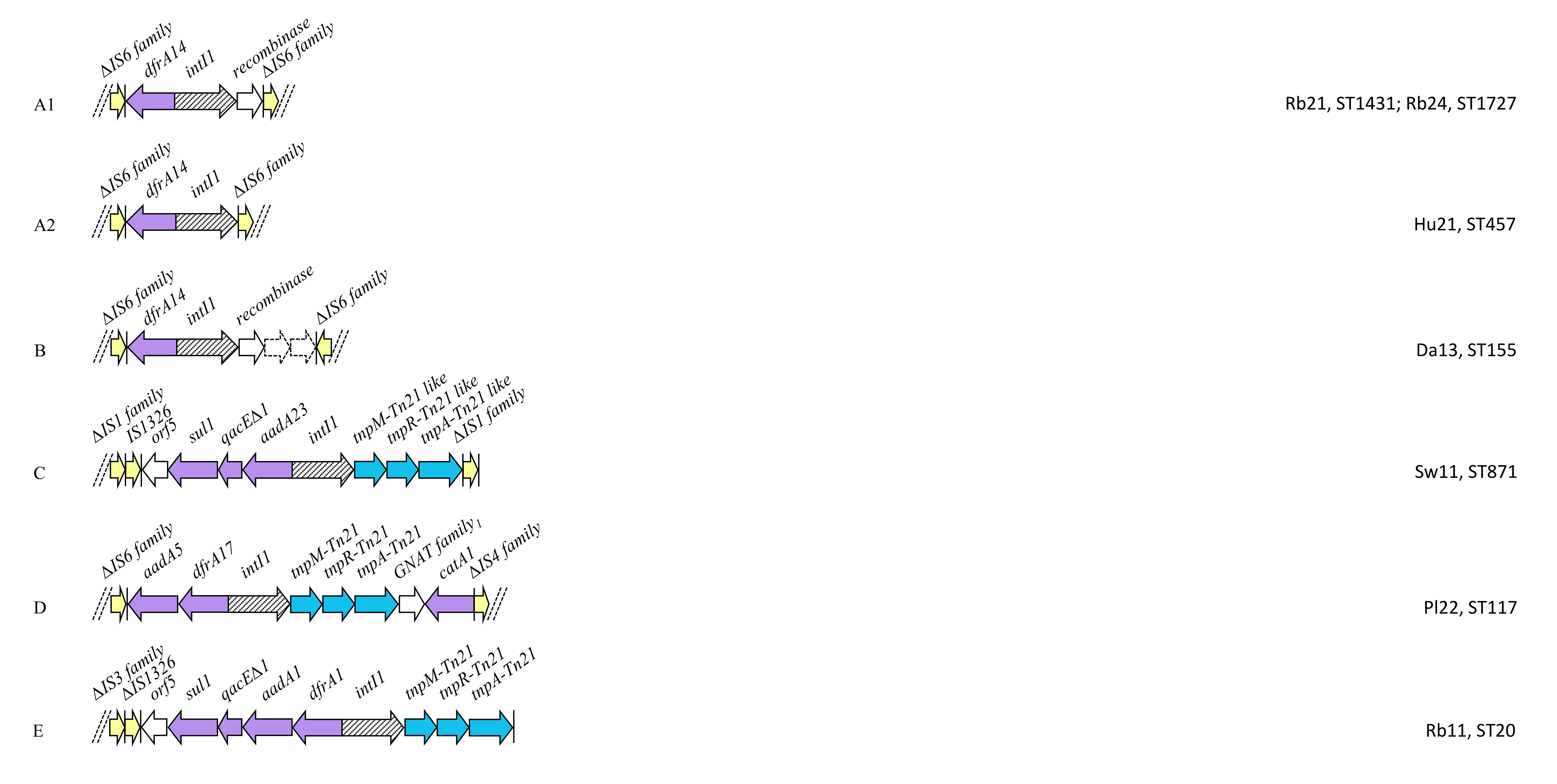 Antibiotics 09 00782 g006a
