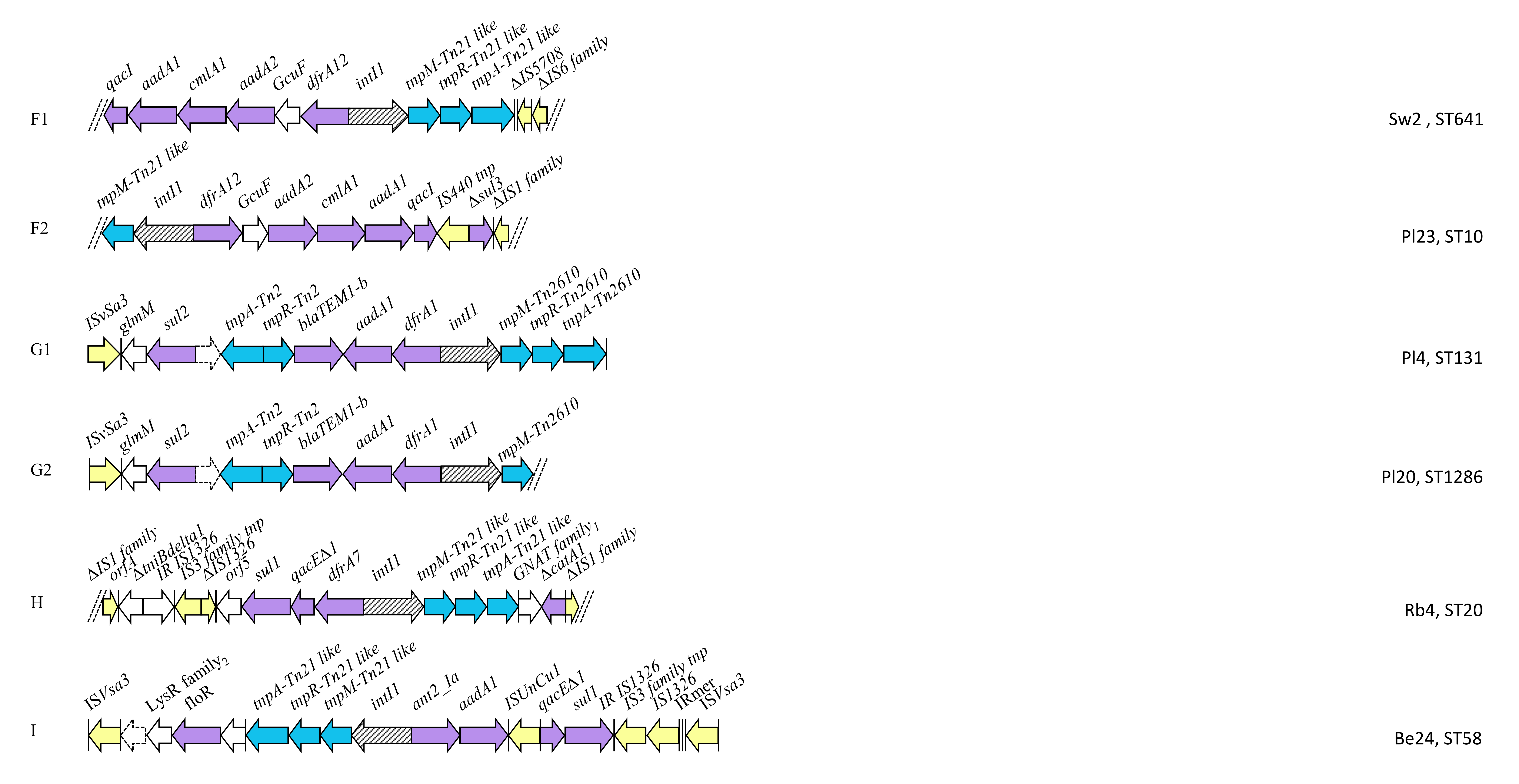 Antibiotics 09 00782 g006b