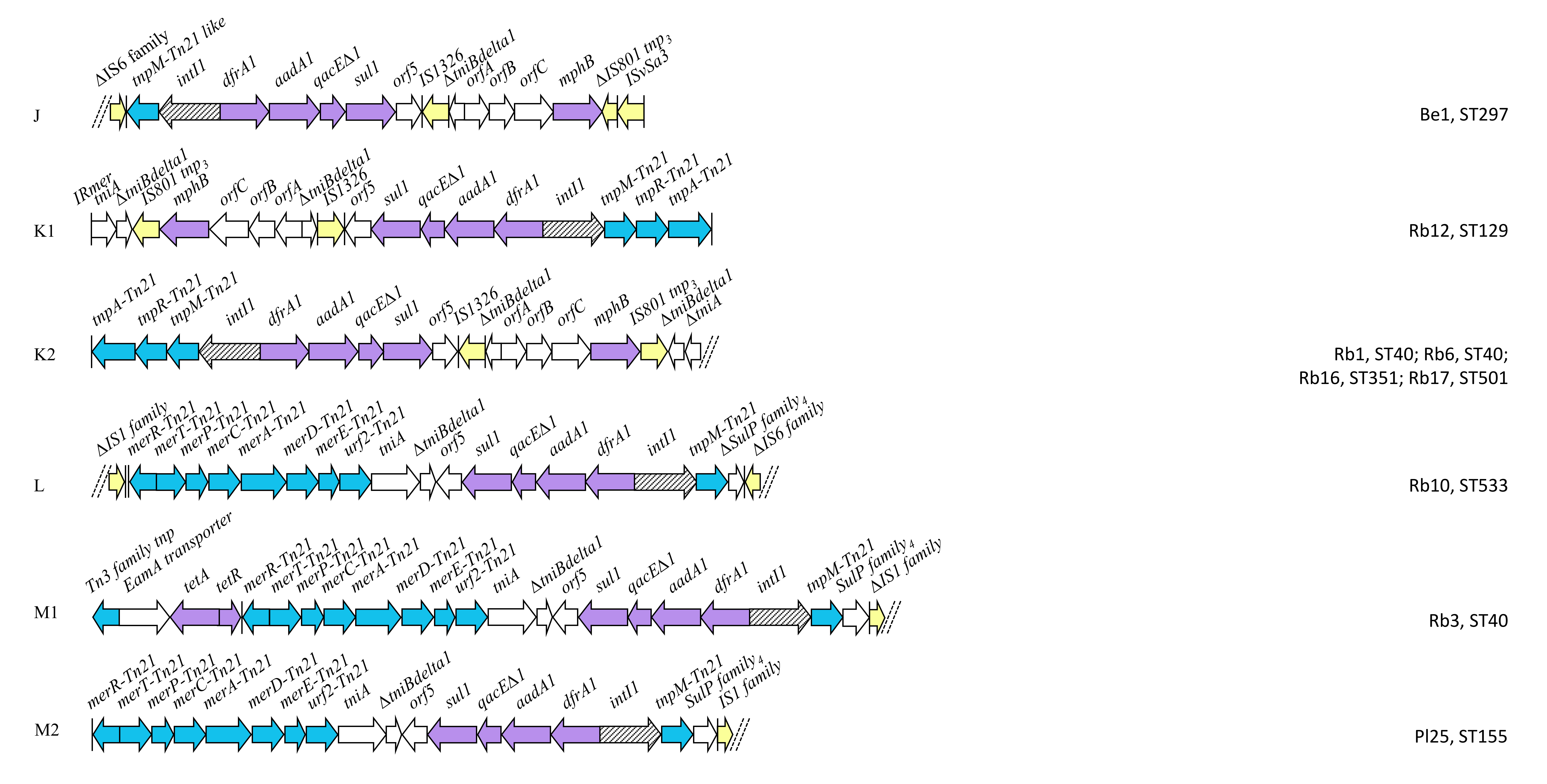 Antibiotics 09 00782 g006c