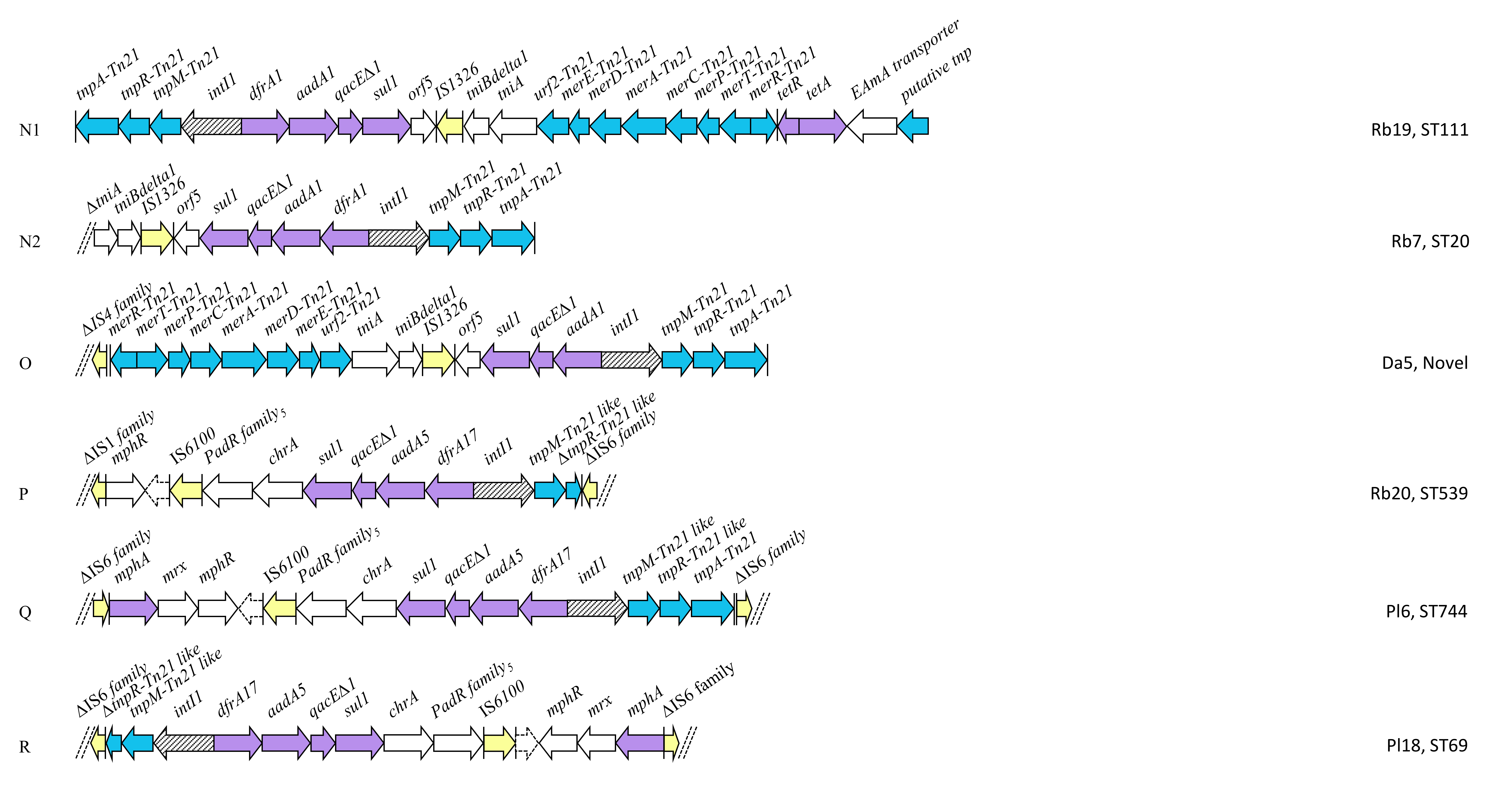 Antibiotics 09 00782 g006d