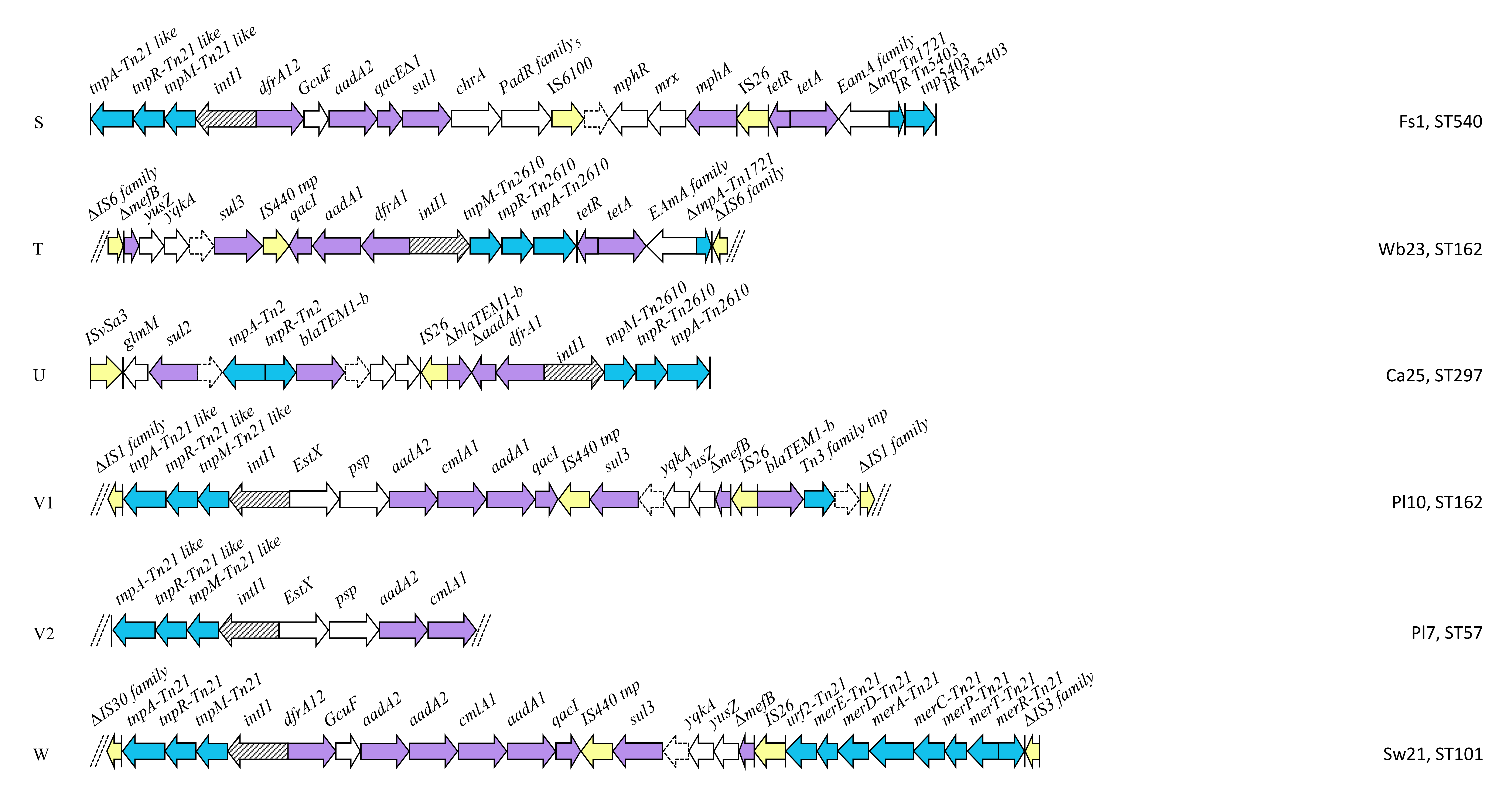 Antibiotics 09 00782 g006e