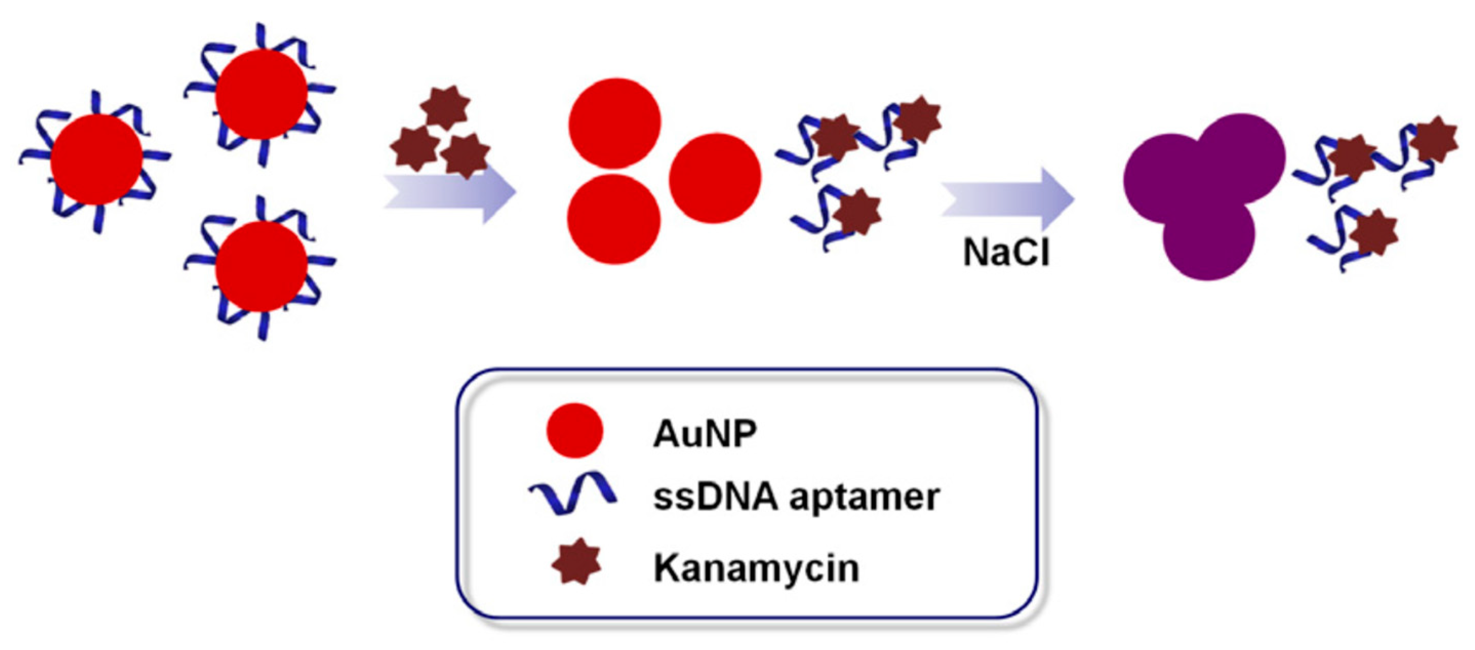 Antibiotics 09 00787 g002